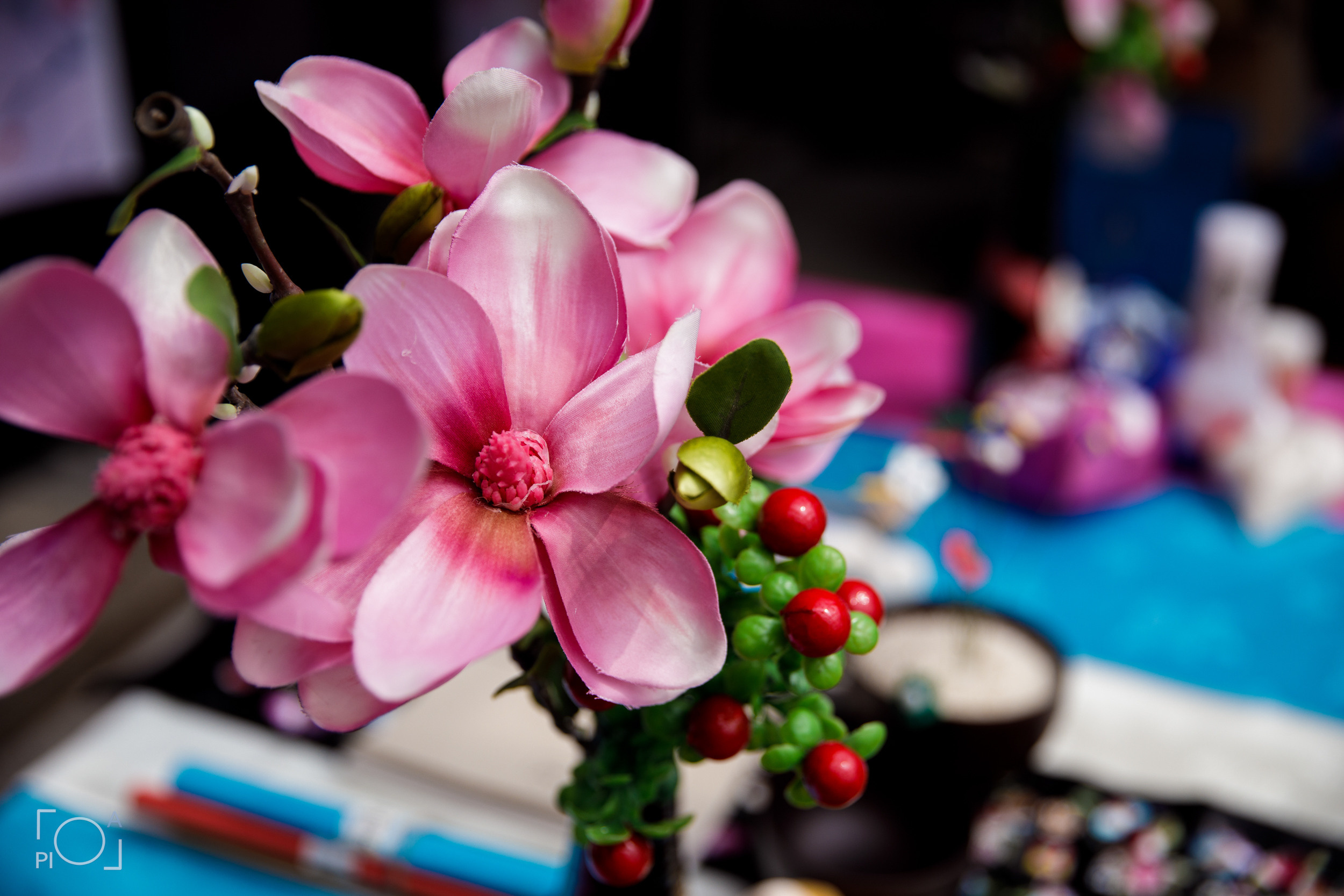 1st Birthday according to Korean customs. Photographer in Shanghai — Lola Pidluskaya