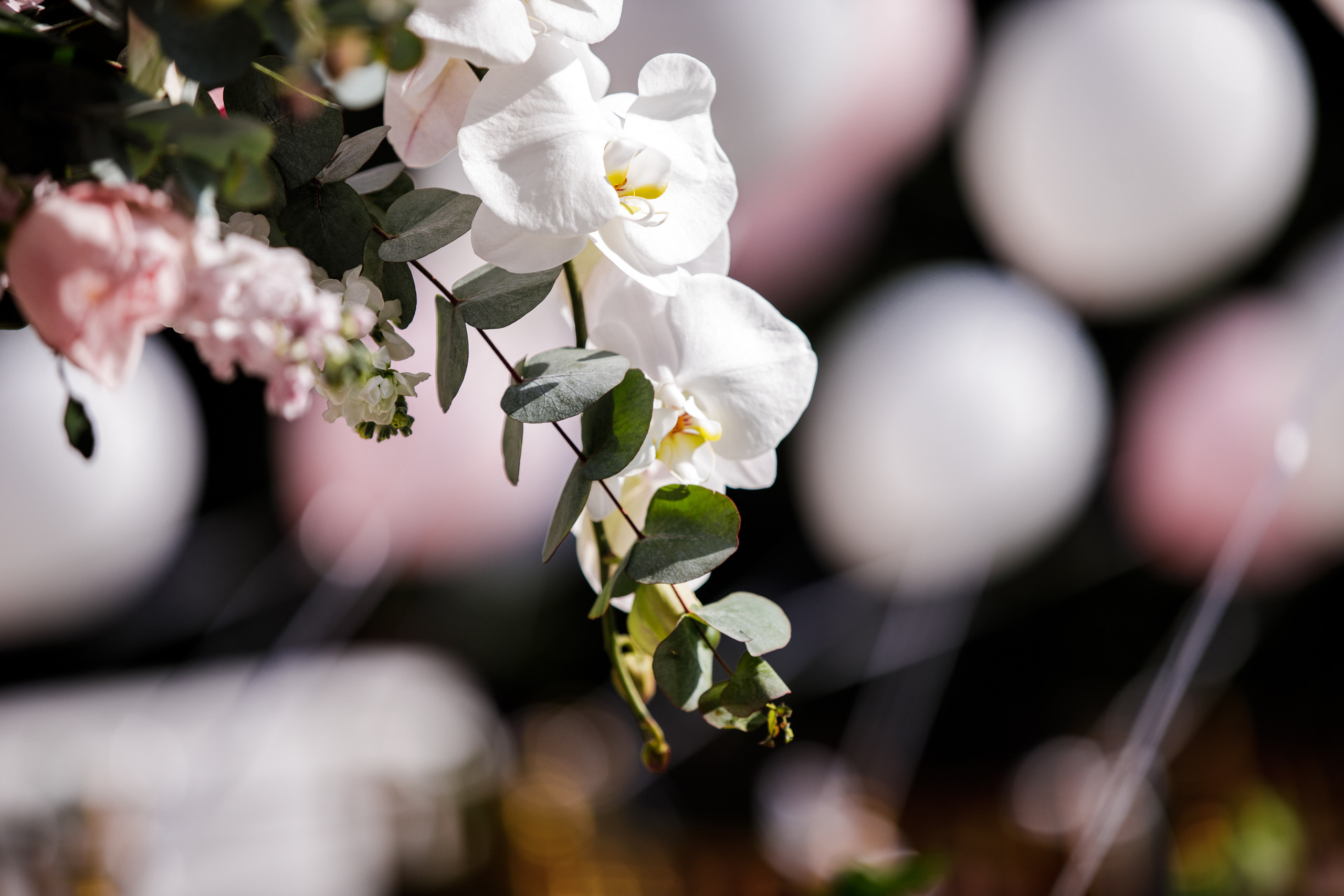 Китайская свадьба по традиционным китайским + европейским обычаям. Фотограф в Шанхае — Лола Пидлуская