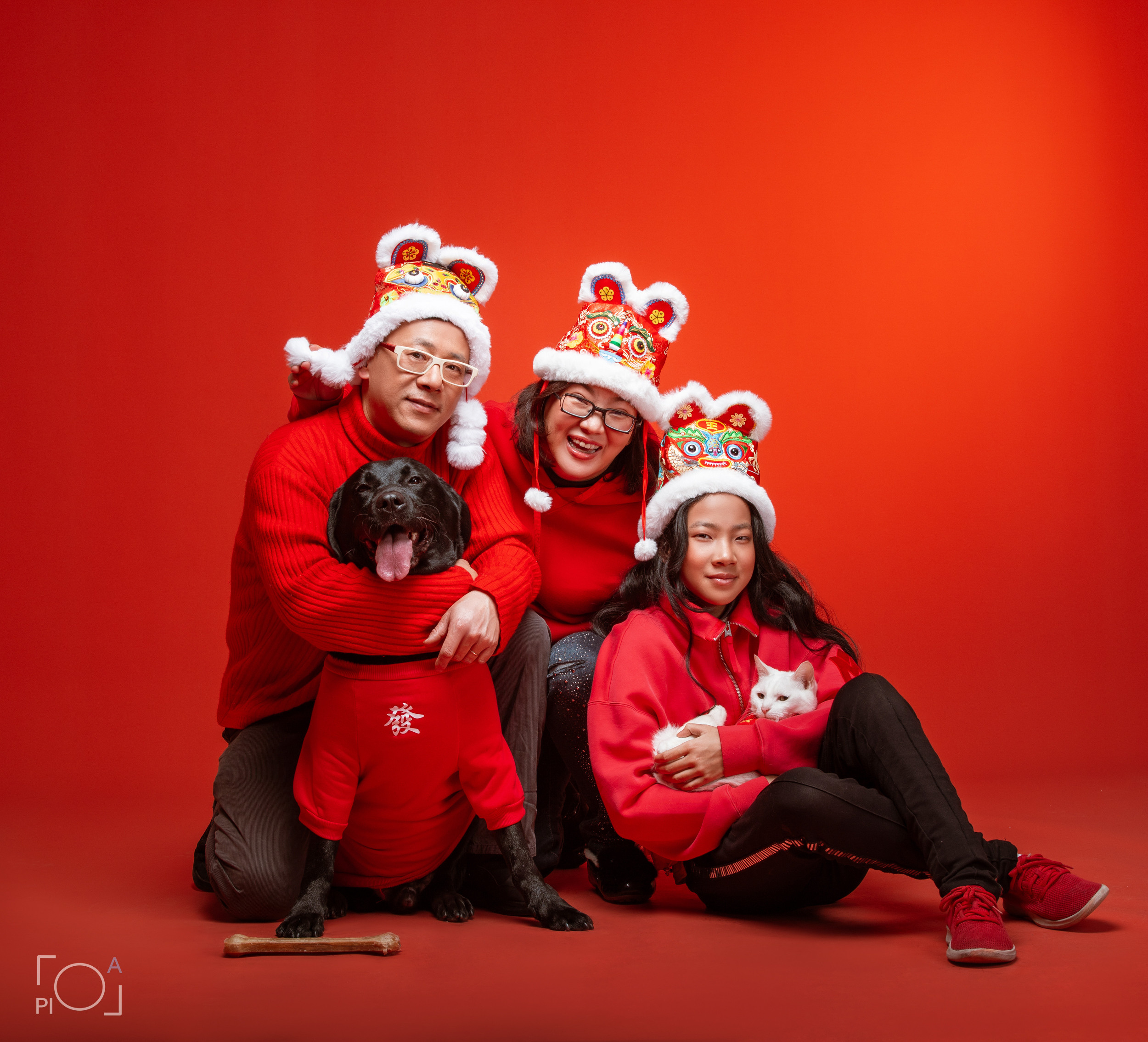 Friendly family: Photo shoot with pets in the studio. Photographer in Shanghai — Lola Pidluskaya