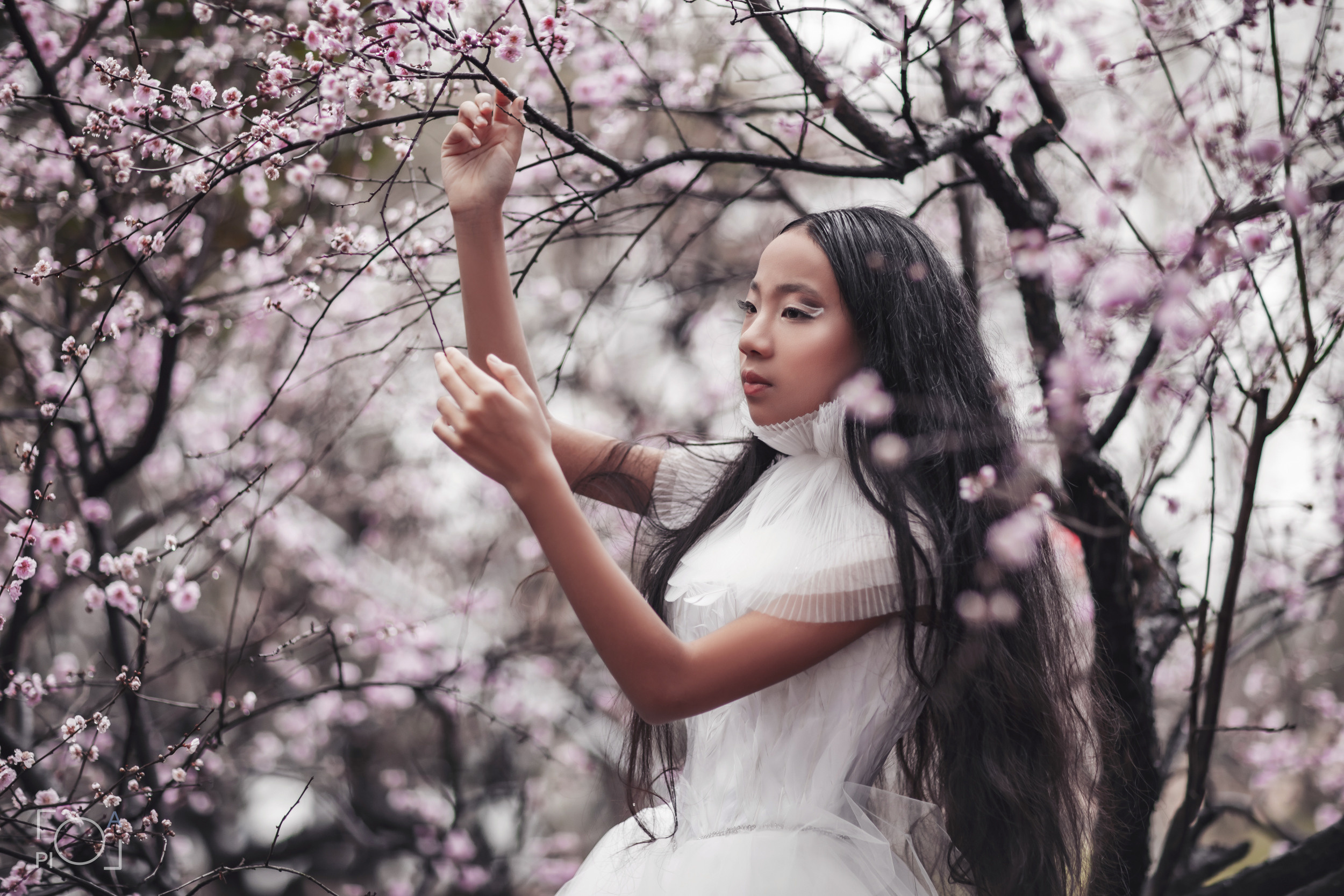 Цветение сакуры в Шанхае: Романтическая фотосессия в дождливый день. Фотограф в Шанхае — Лола Пидлуская