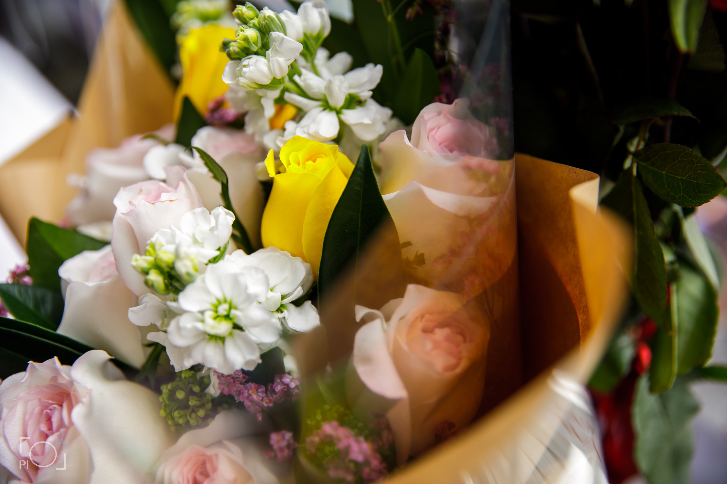 1st Birthday according to Korean customs. Photographer in Shanghai — Lola Pidluskaya