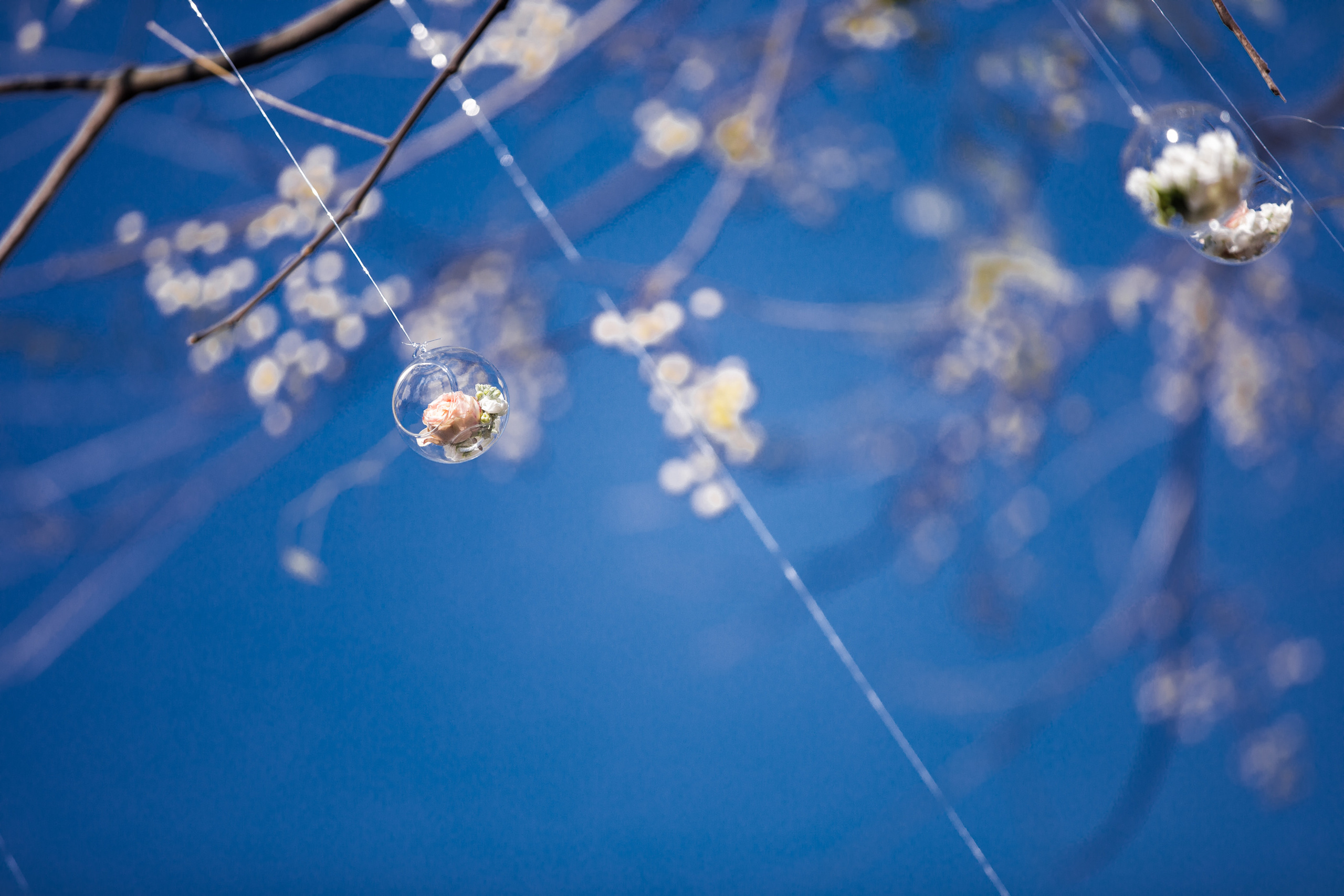 Китайская свадьба по традиционным китайским + европейским обычаям. Фотограф в Шанхае — Лола Пидлуская