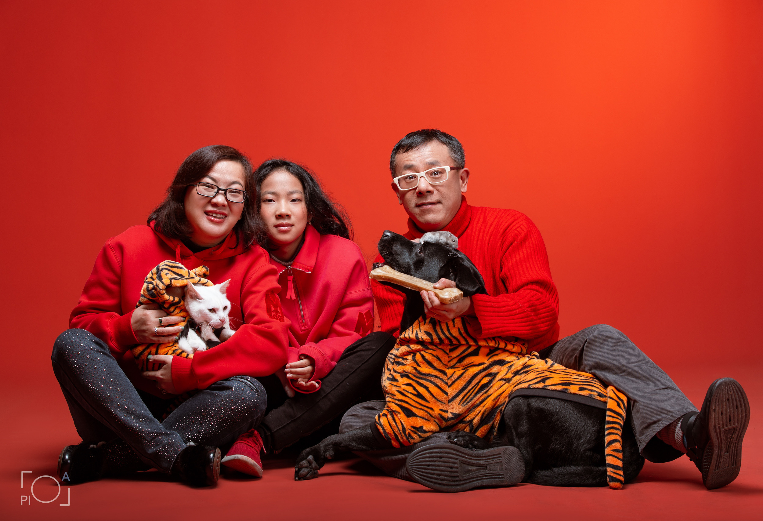 Friendly family: Photo shoot with pets in the studio. Photographer in Shanghai — Lola Pidluskaya