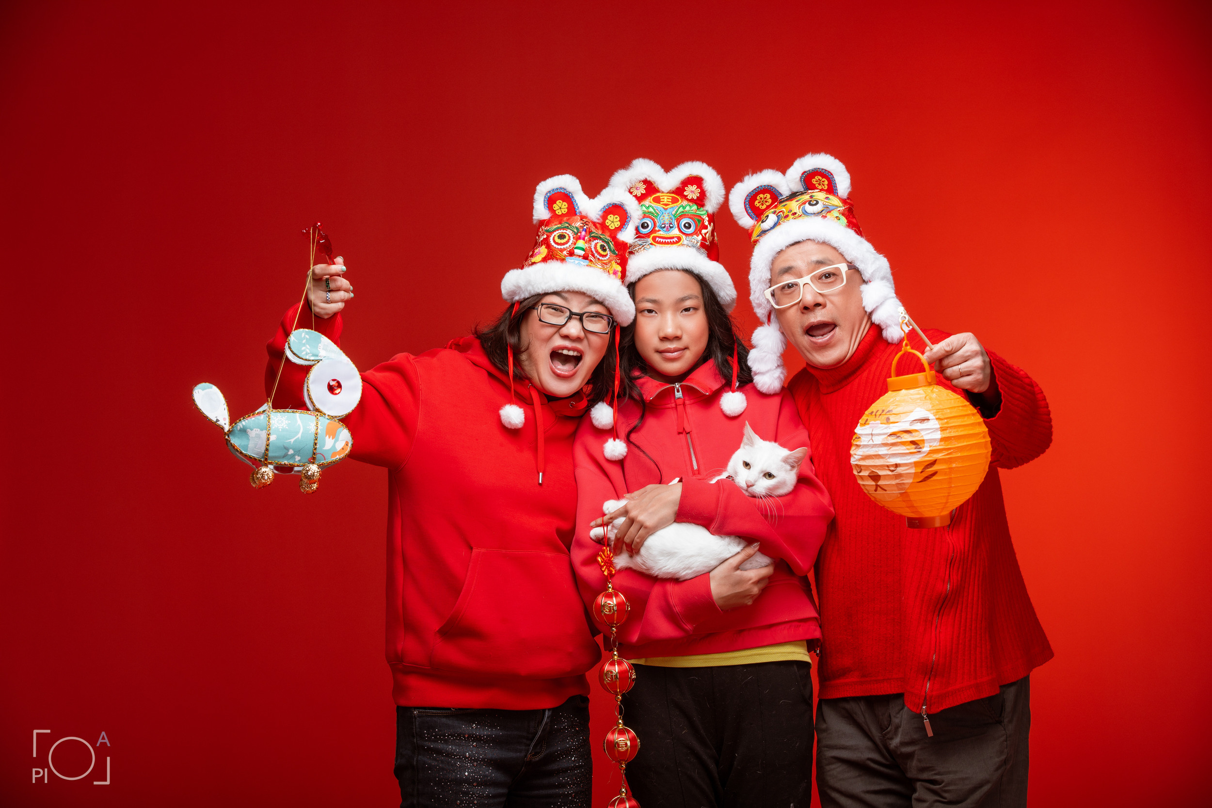 Friendly family: Photo shoot with pets in the studio. Photographer in Shanghai — Lola Pidluskaya