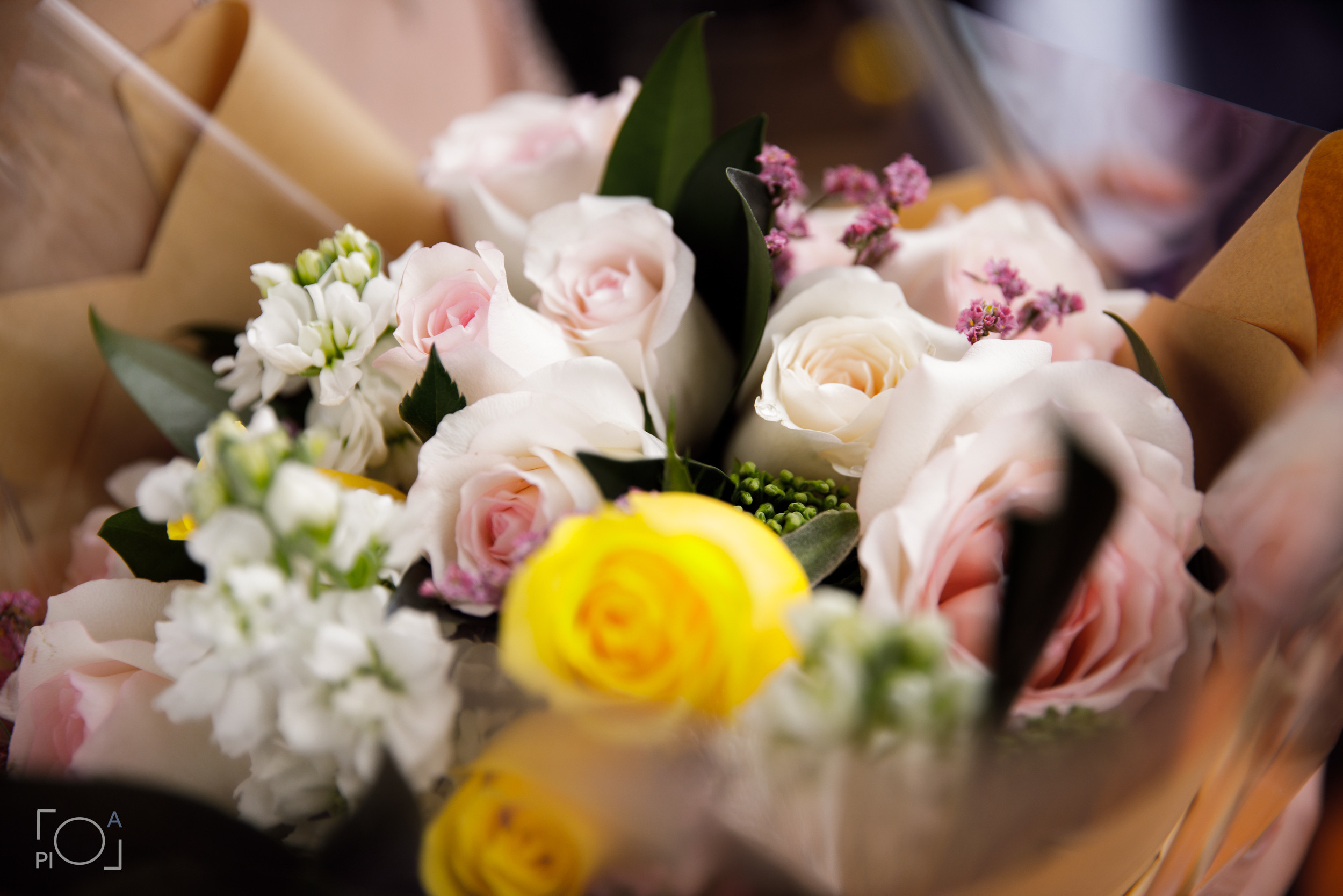 1st Birthday according to Korean customs. Photographer in Shanghai — Lola Pidluskaya