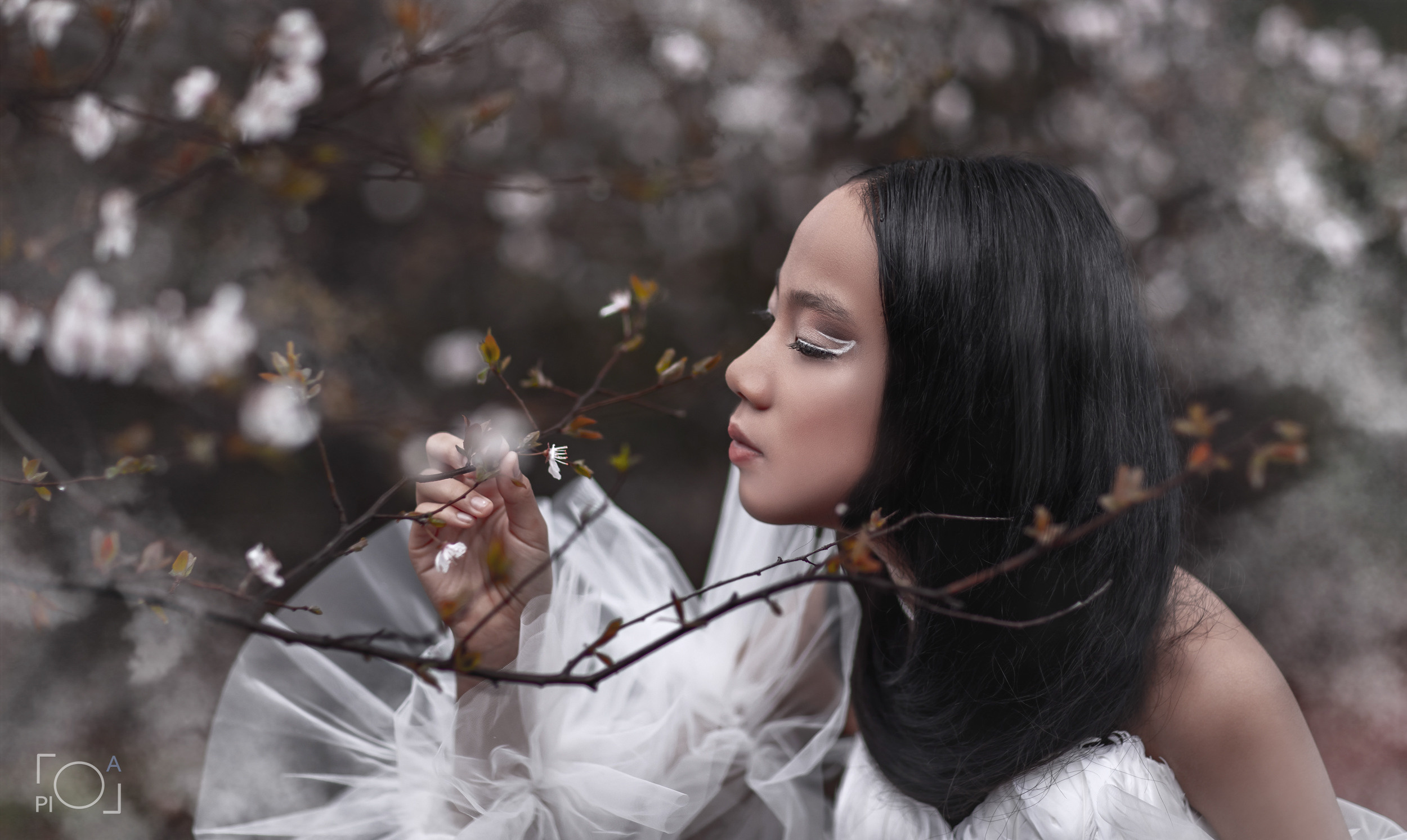 Цветение сакуры в Шанхае: Романтическая фотосессия в дождливый день. Фотограф в Шанхае — Лола Пидлуская