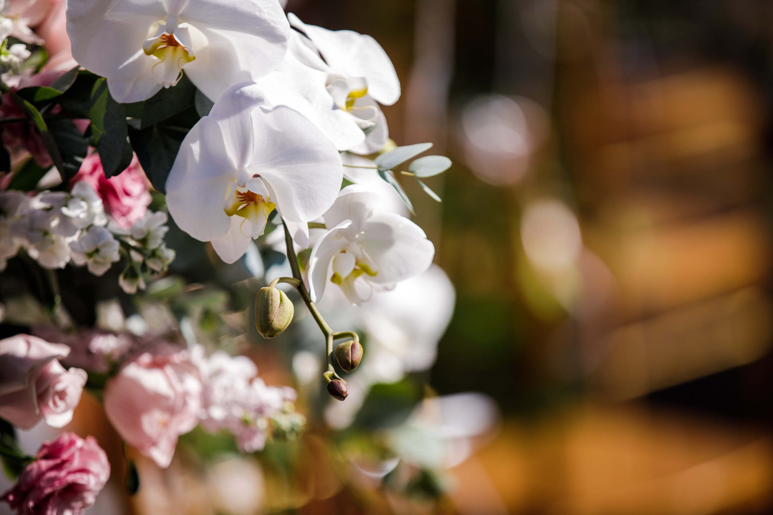 Китайская свадьба по традиционным китайским + европейским обычаям. Фотограф в Шанхае — Лола Пидлуская