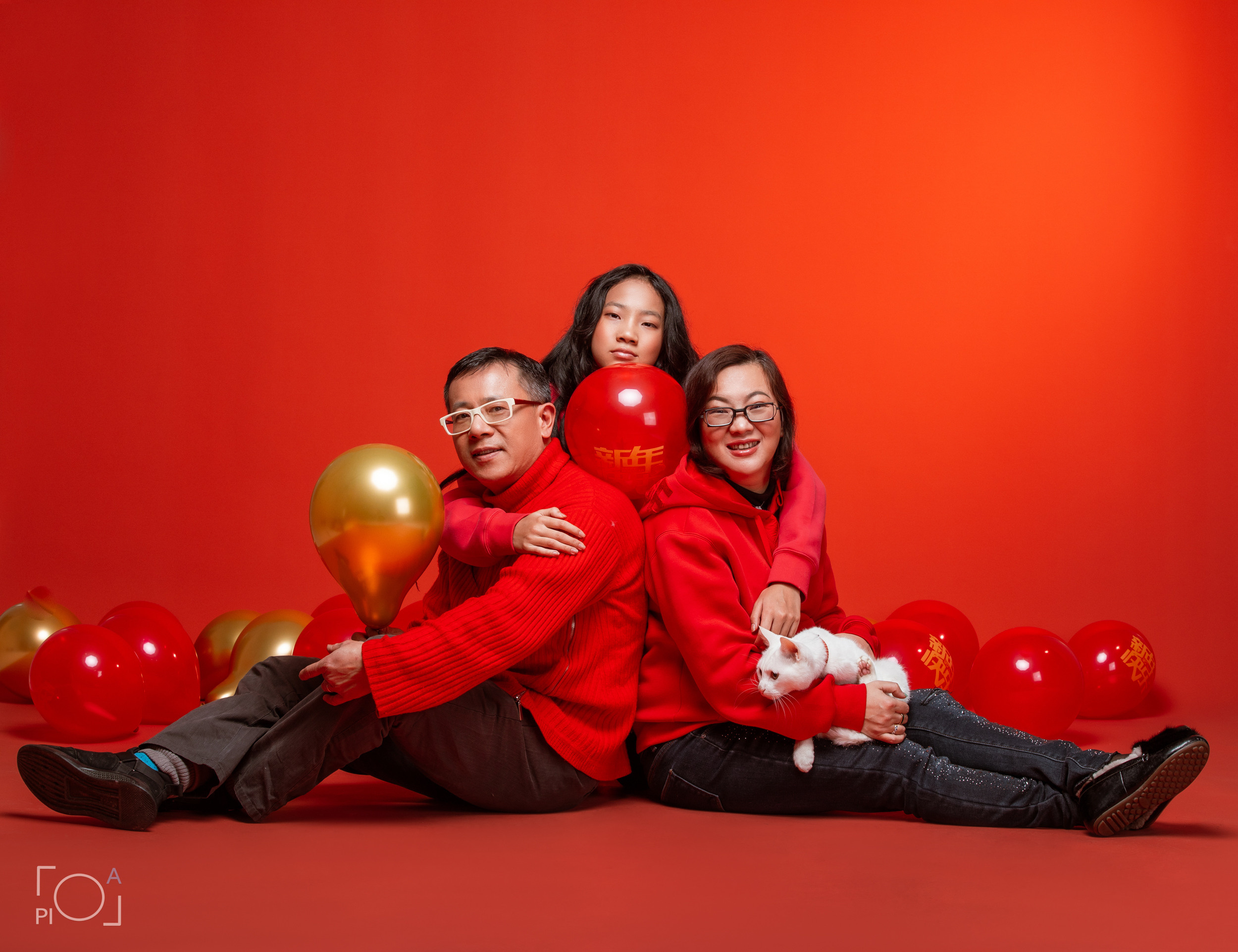 Friendly family: Photo shoot with pets in the studio. Photographer in Shanghai — Lola Pidluskaya