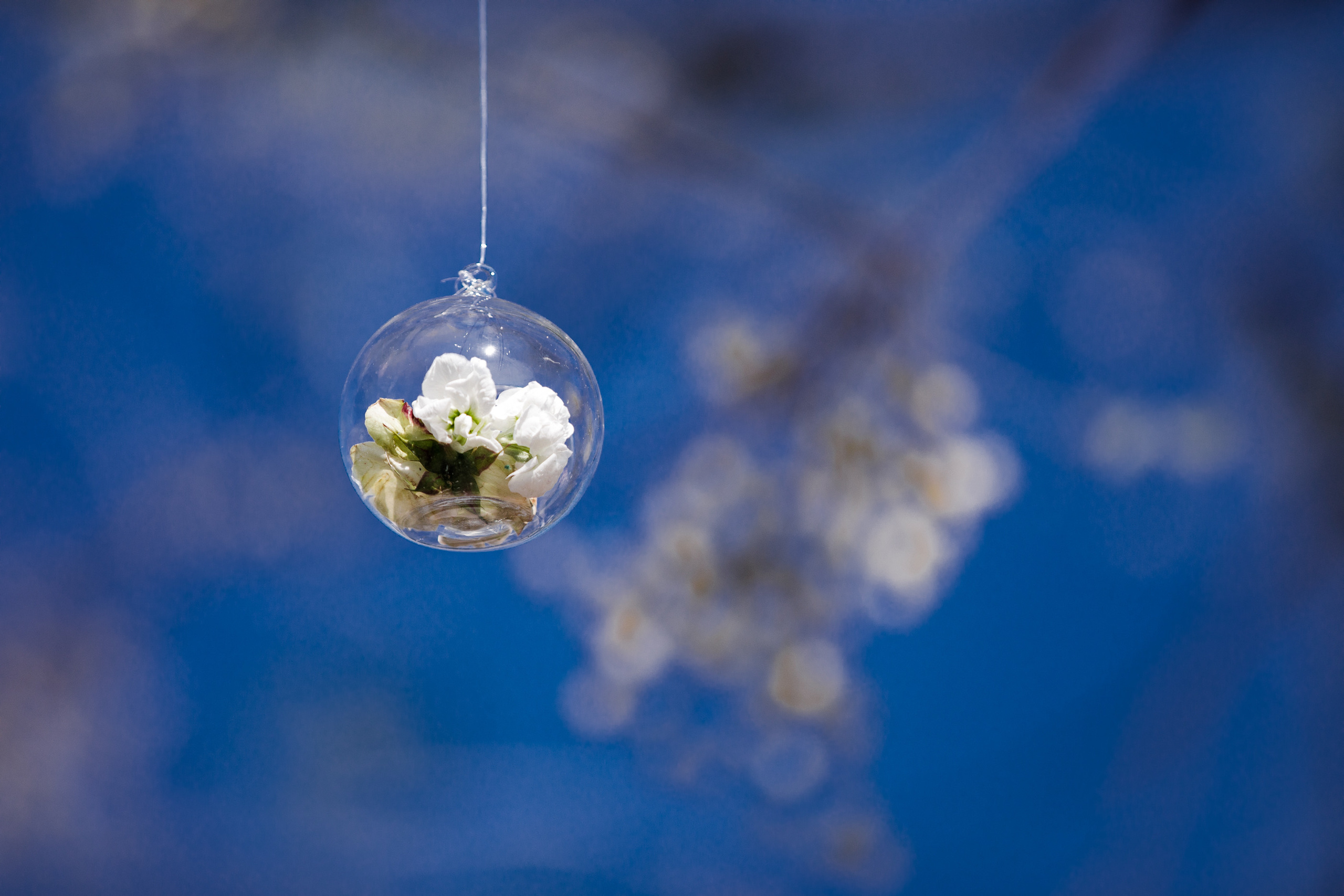 Китайская свадьба по традиционным китайским + европейским обычаям. Фотограф в Шанхае — Лола Пидлуская