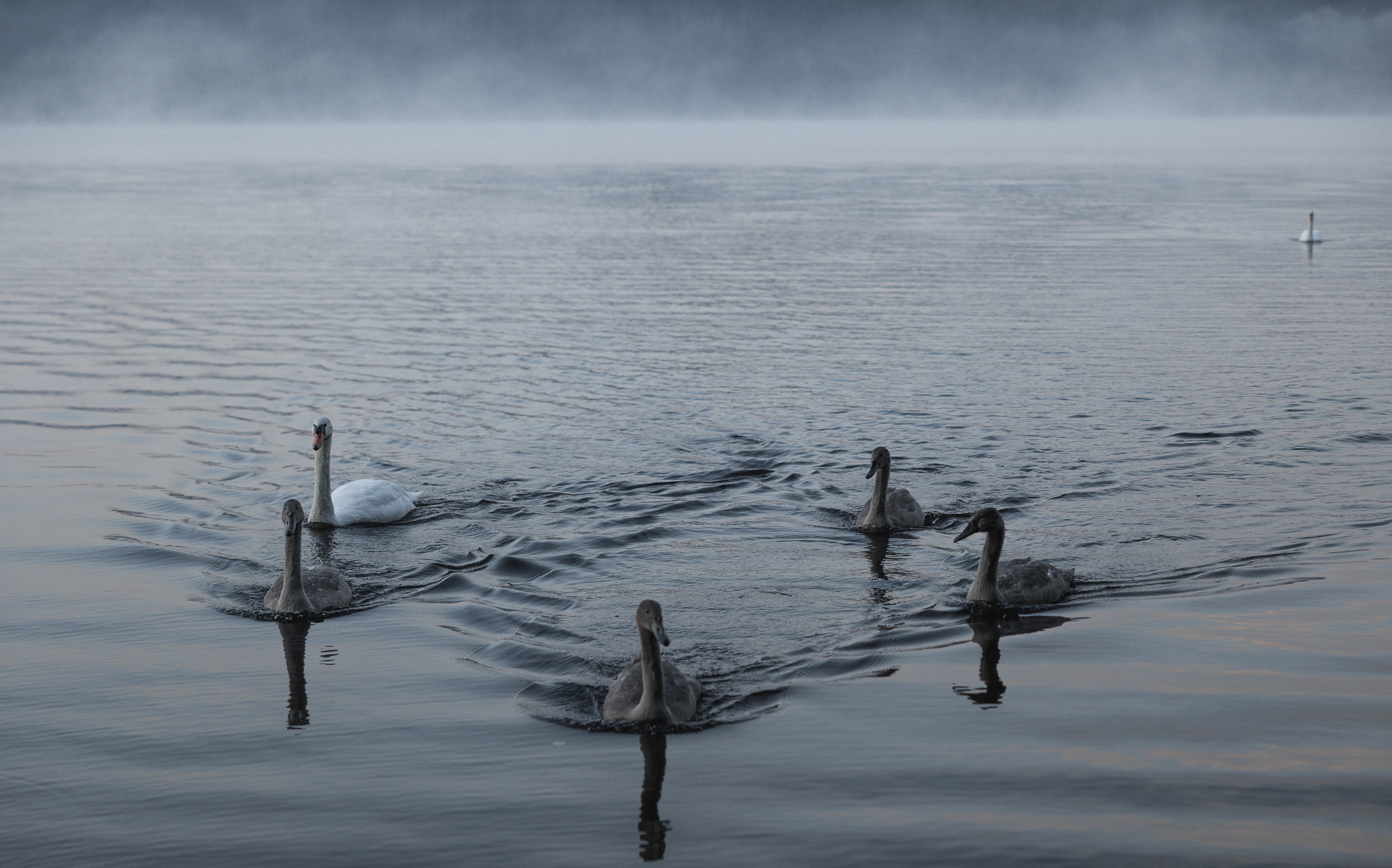 35AWARDS LAKES ОЗЁРА. LUKIN IGOR Photography