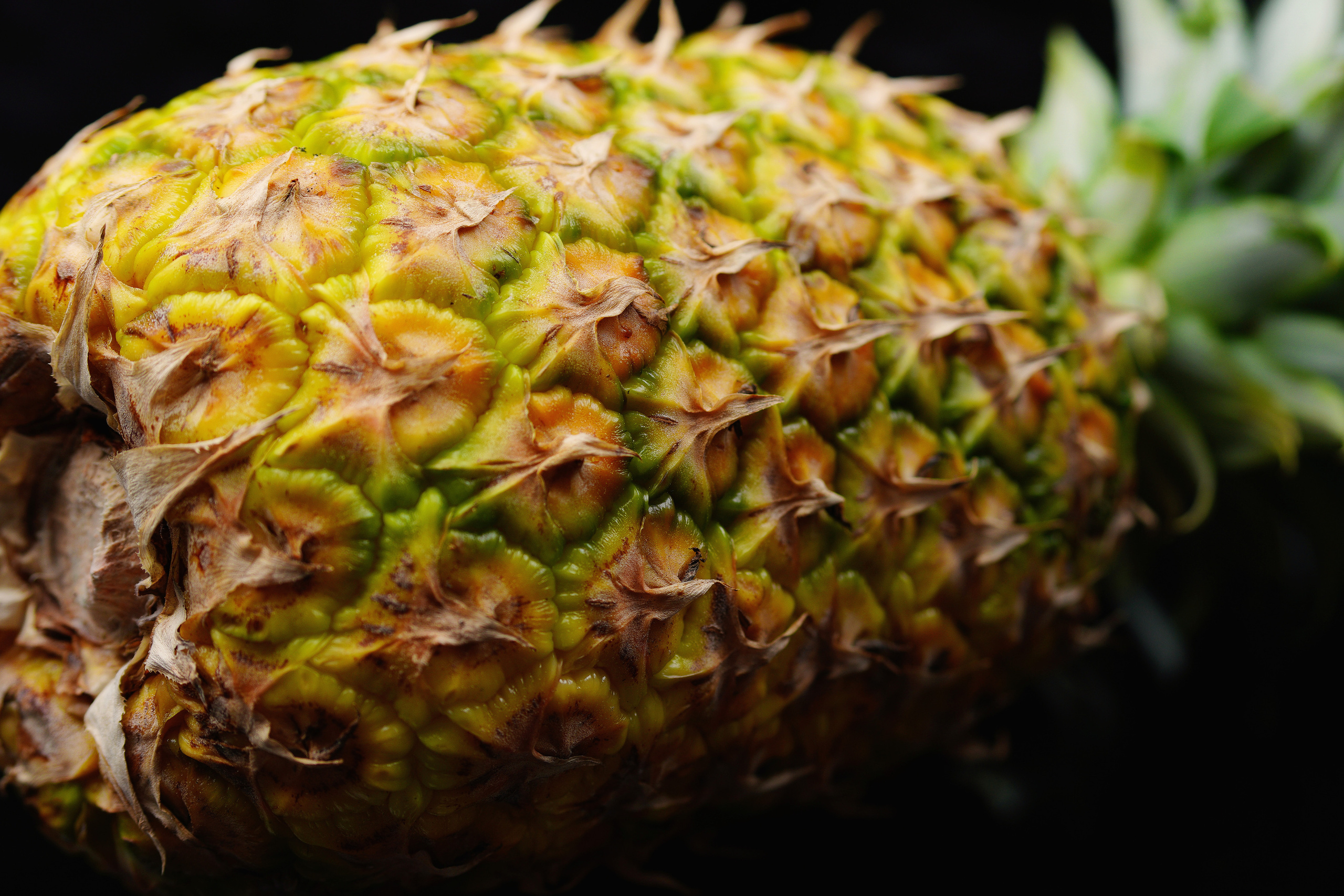 Food Fotografie. LUKIN IGOR Photography