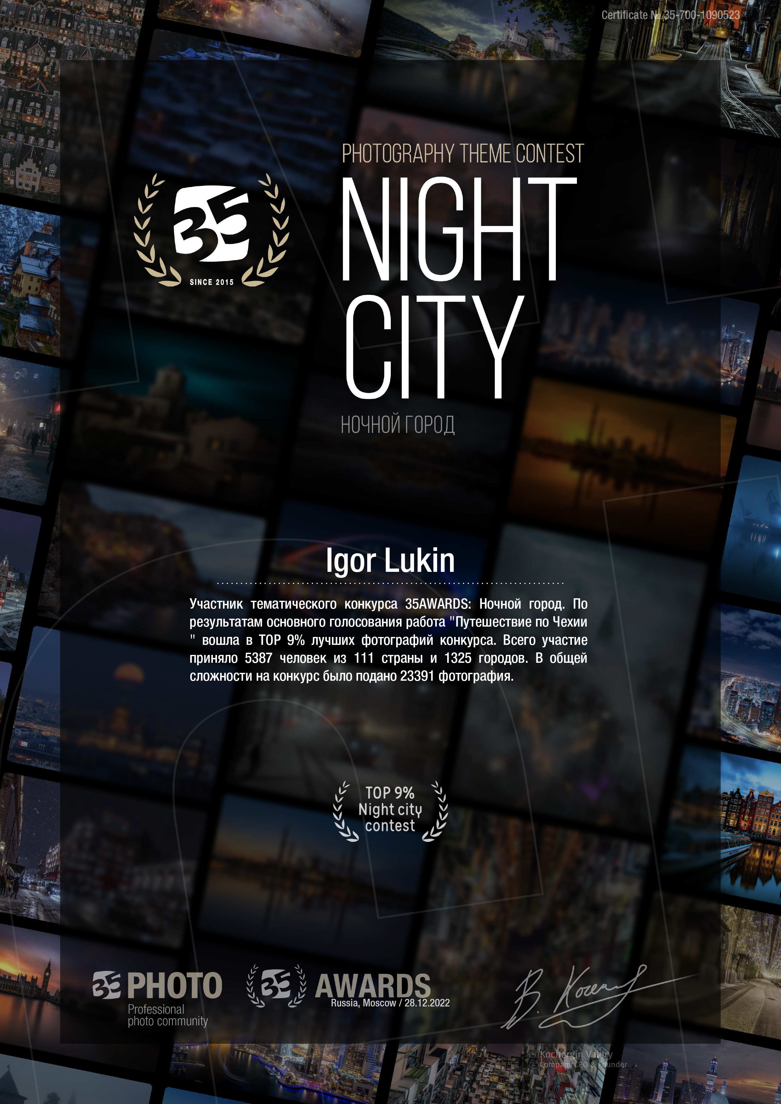 35 AWARDS Ночной город. LUKIN IGOR Photography