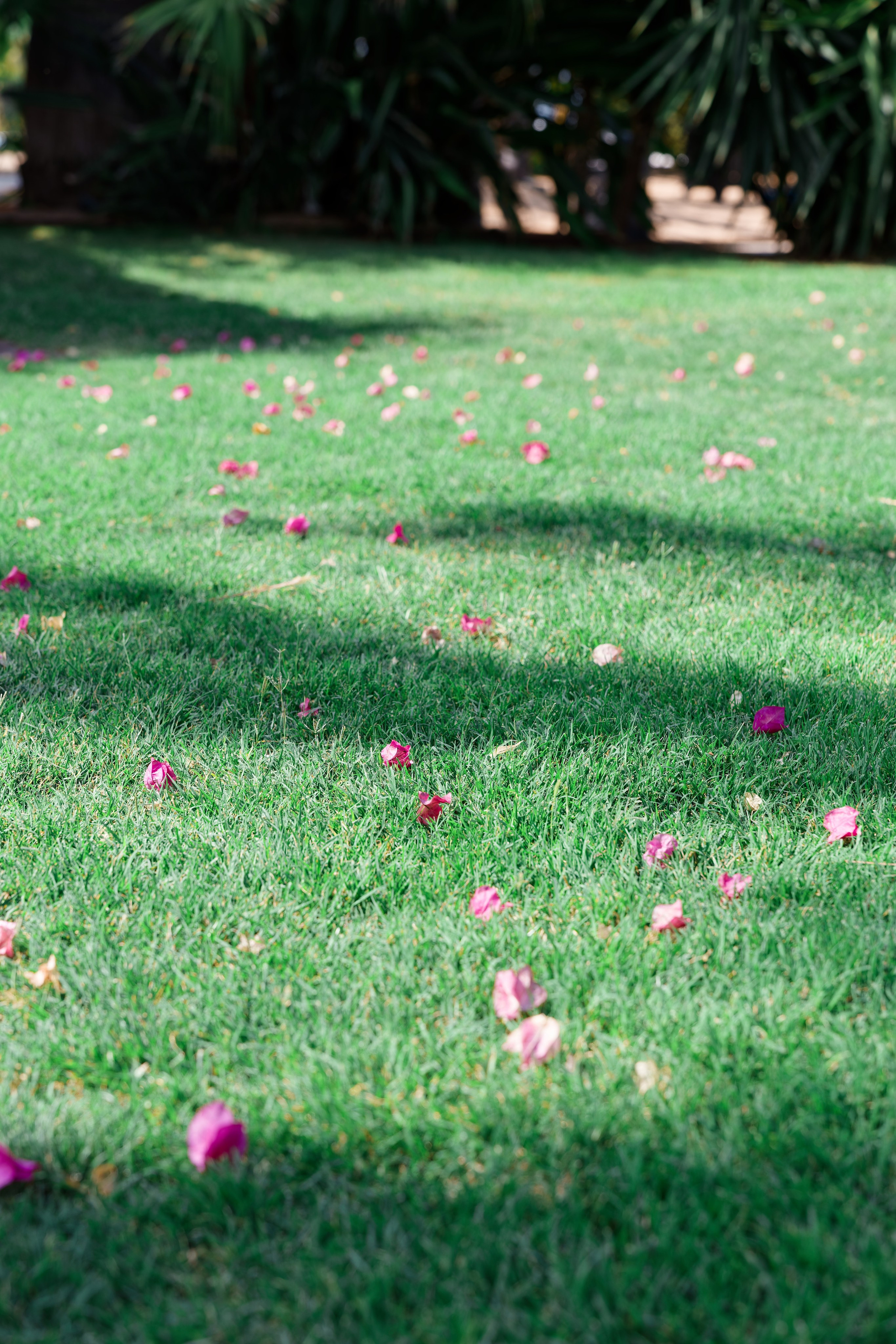 Indian wedding at Gran Villa Rosa, Barcelona