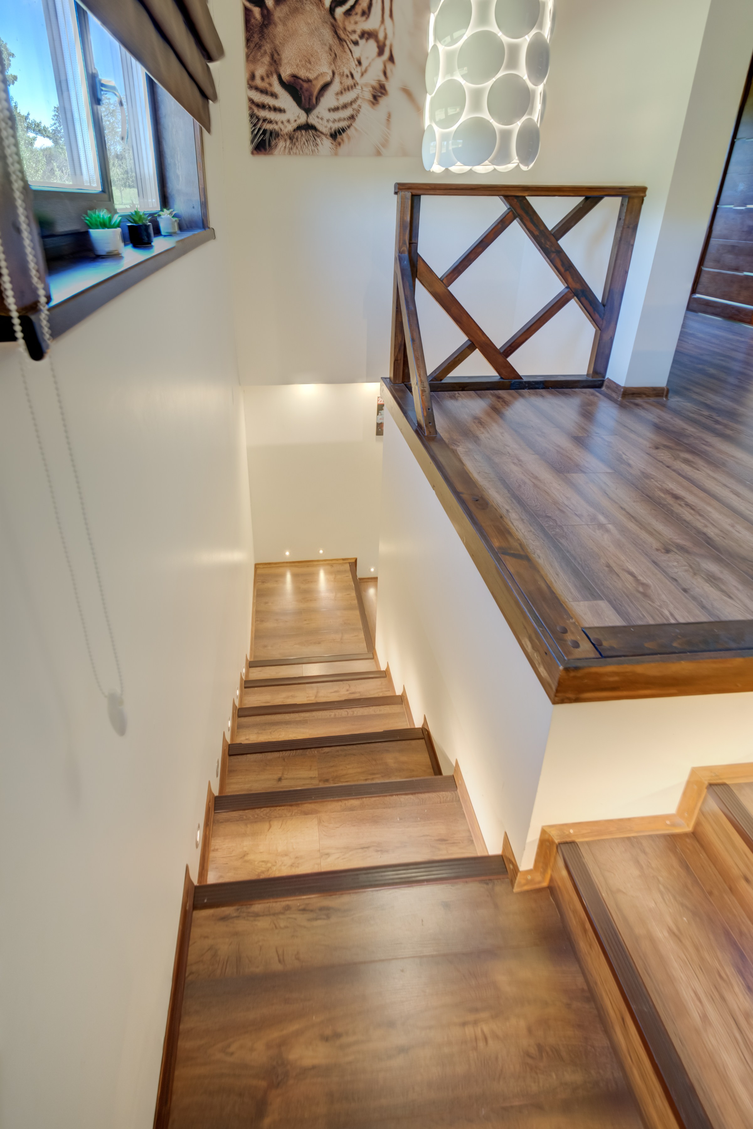 Sadyba Vinliaus r. prie ežero. Elina Sapiega fotografė Vilniuje