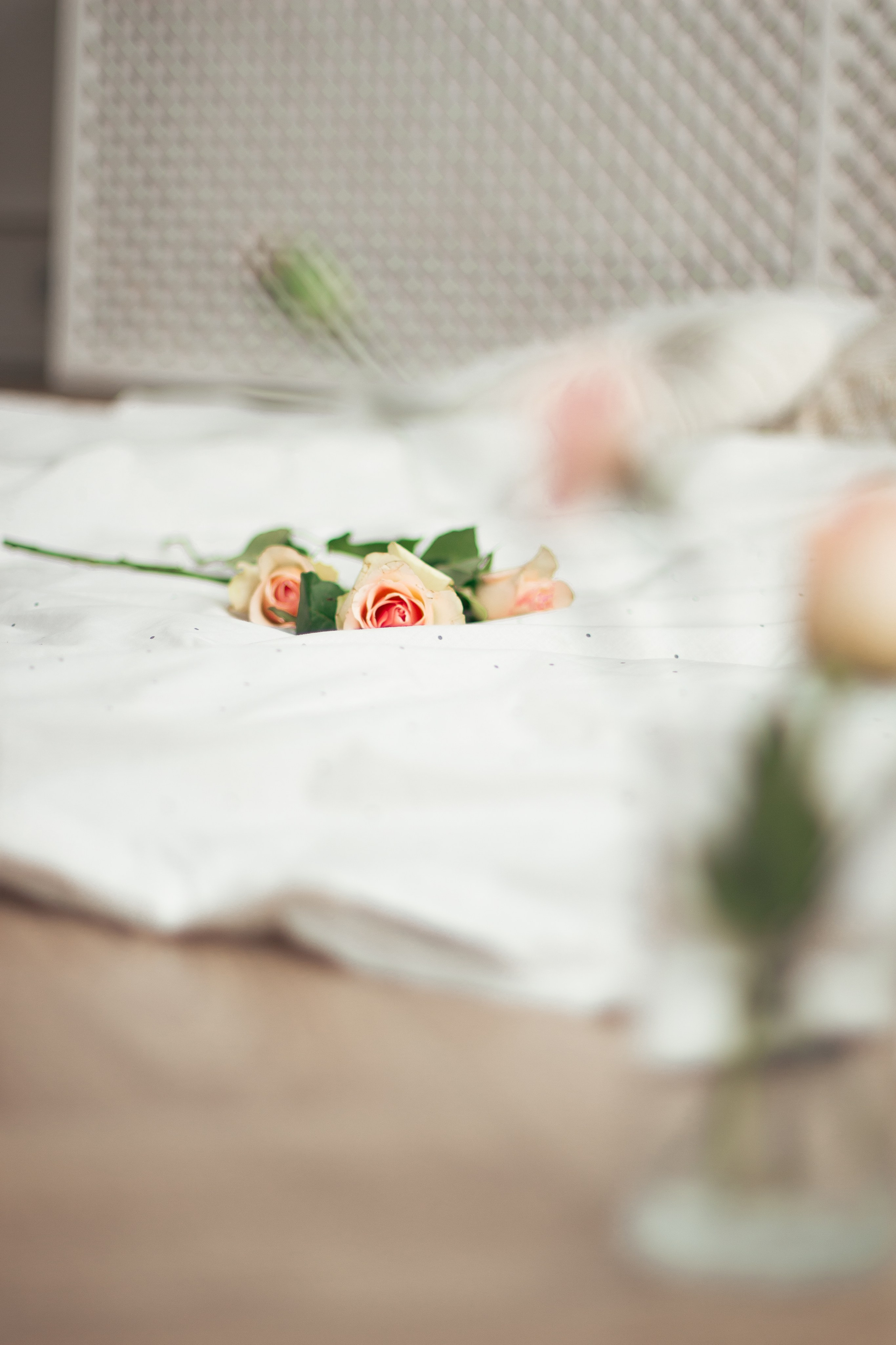 Карина. Главная