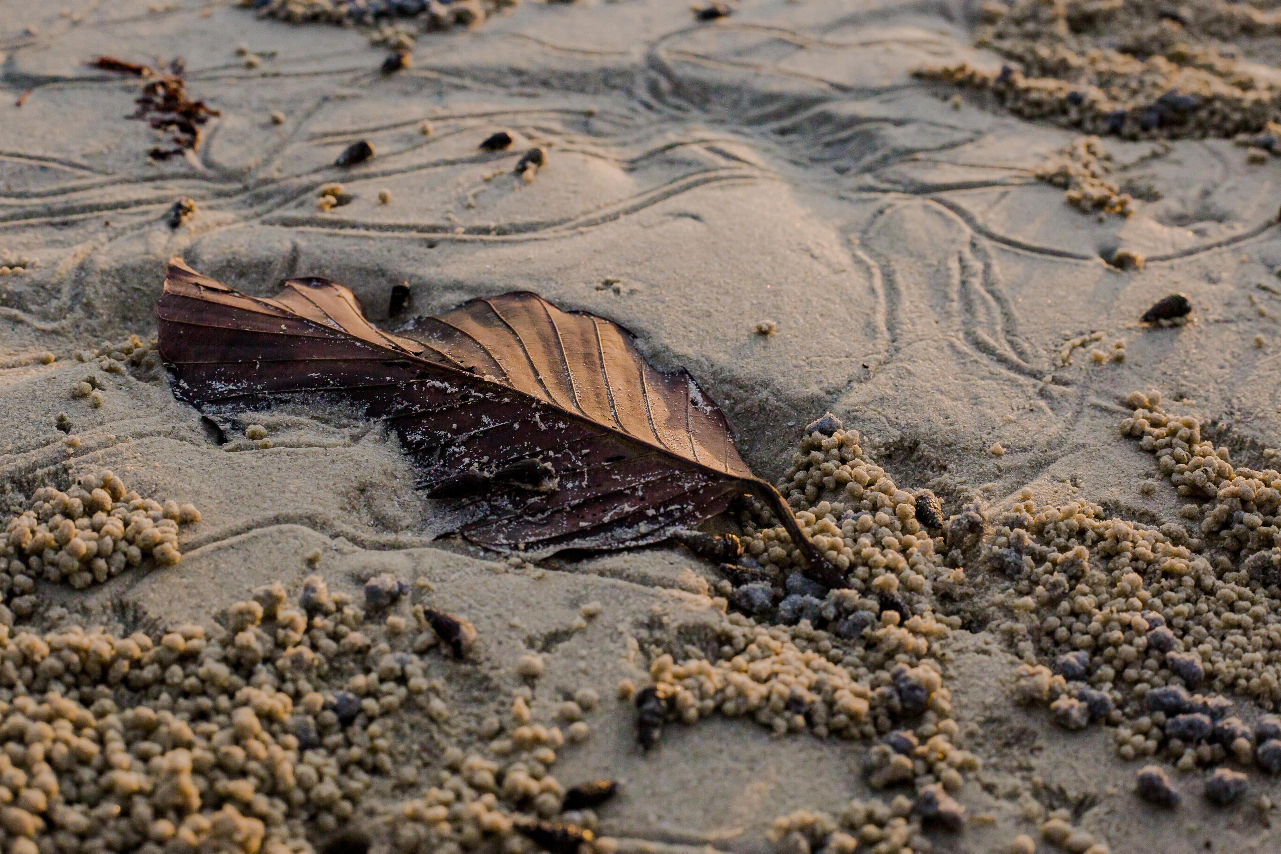 Thailand 2023, Samui. Art Photographer