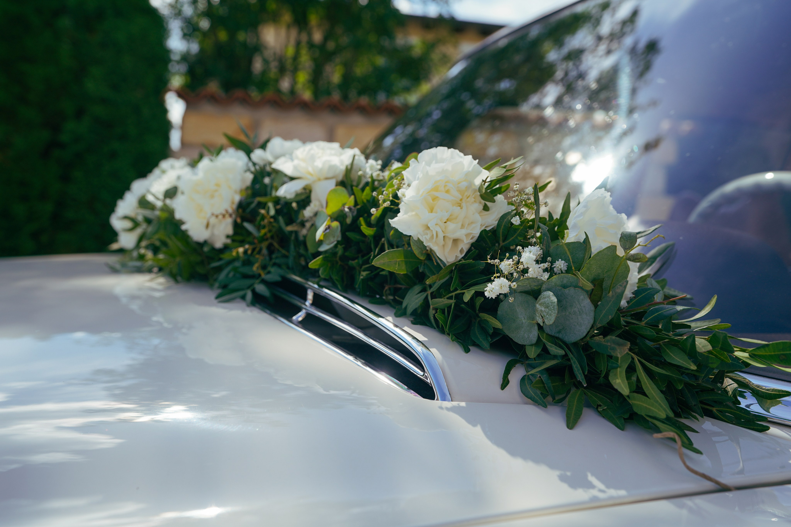 Franky & Angelika. Fotostudio in Metzingen