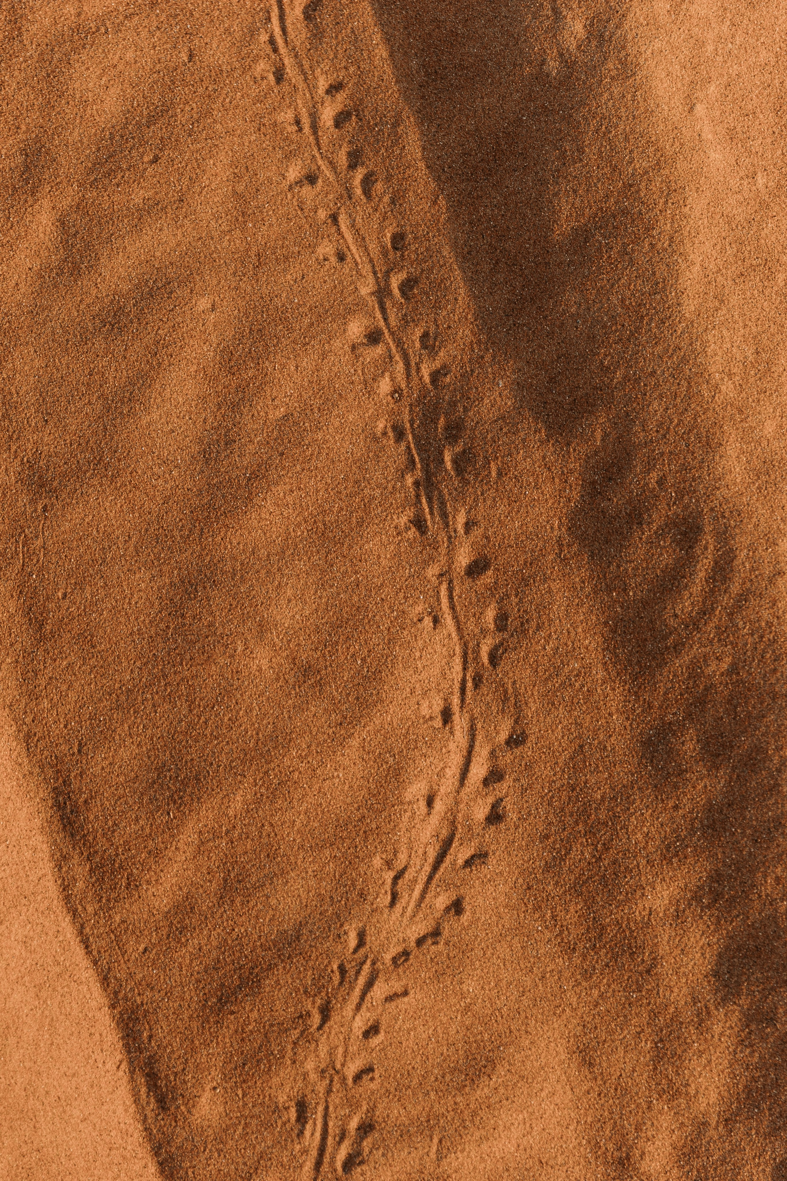 Ksenia. Photographer Anna Nazarenko