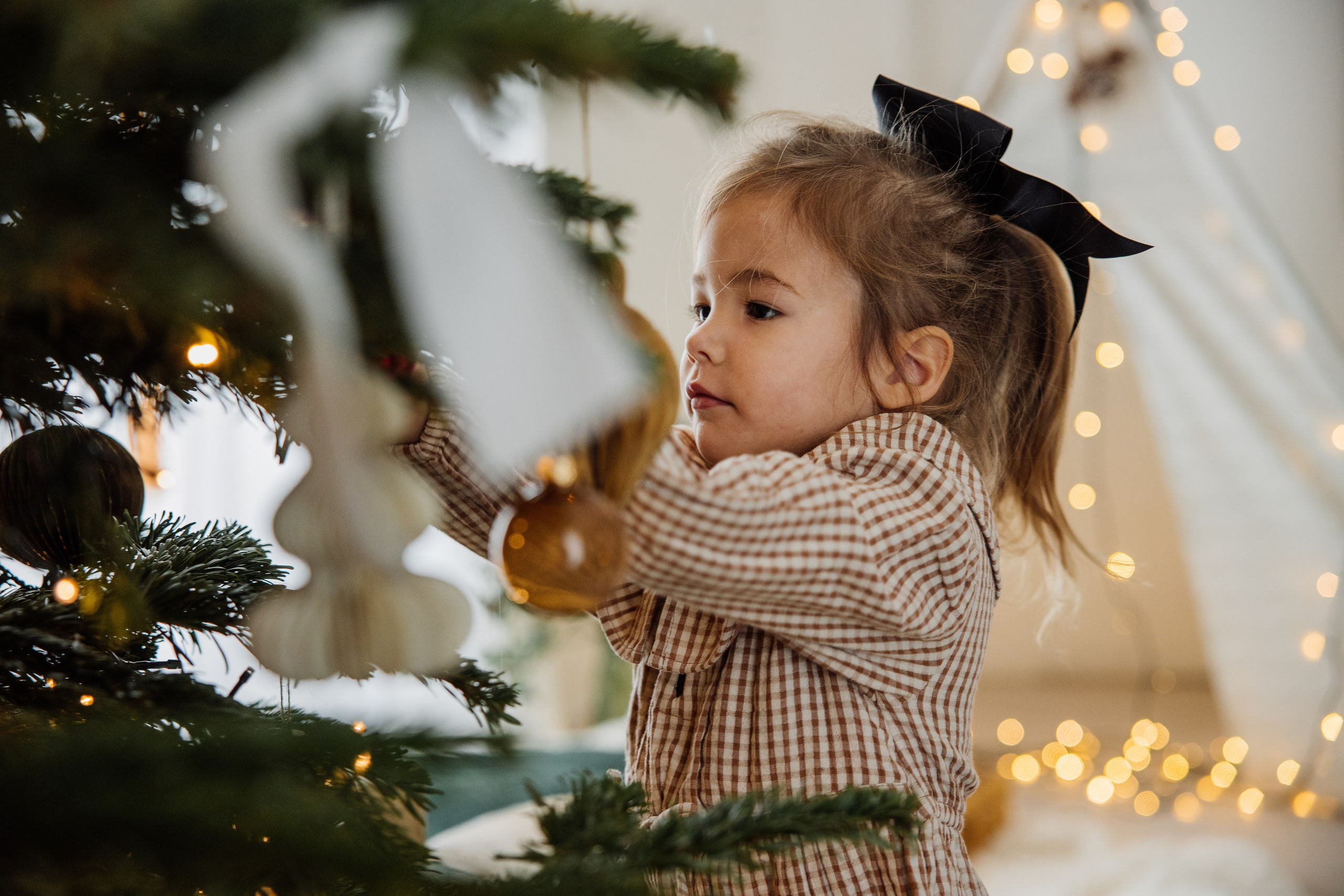 Decorating the Christmas tree