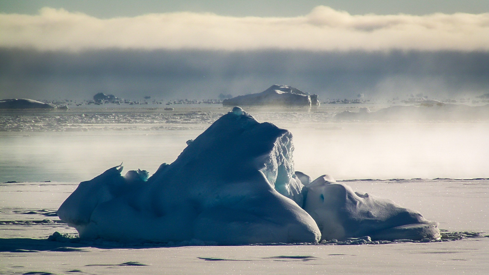 ANTARCTICA / 2004. Reportage concert portrait photography in the San Francisco Bay Area
