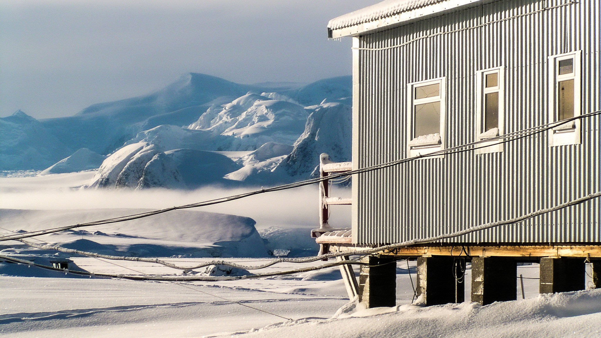 ANTARCTICA / 2004. Reportage concert portrait photography in the San Francisco Bay Area