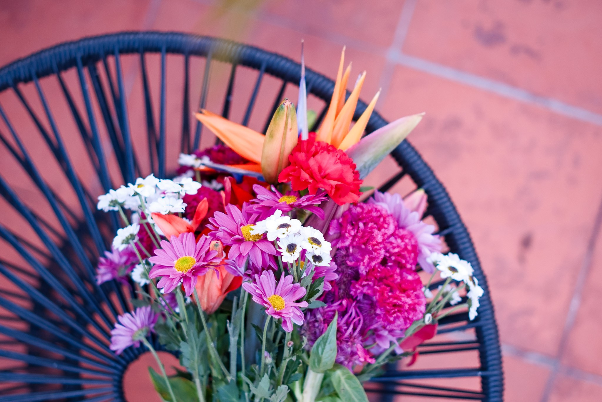 Mel & Austin. Wedding and family photographer in Mexico City