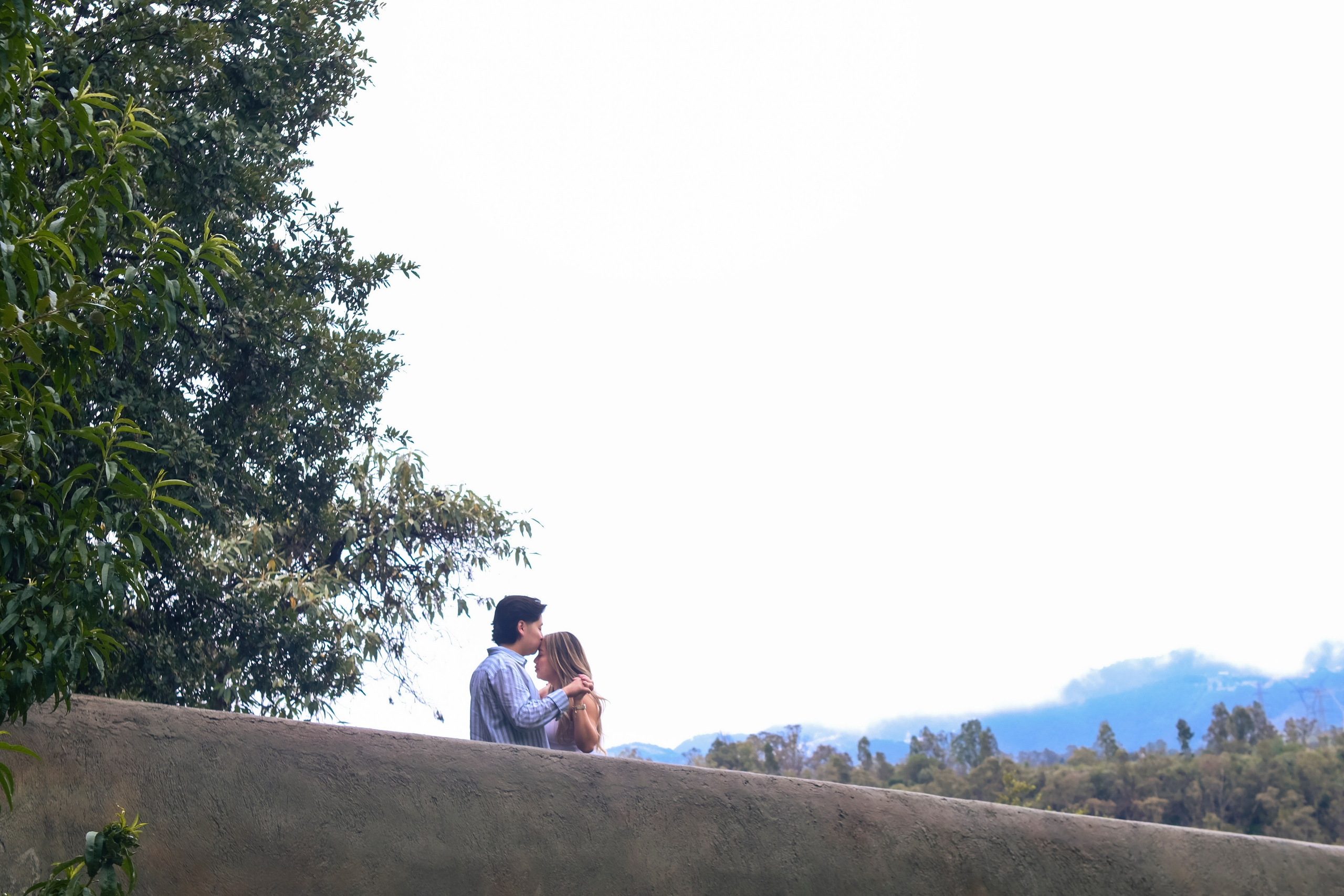 Tedy & Taylor. Wedding and family photographer in Mexico City