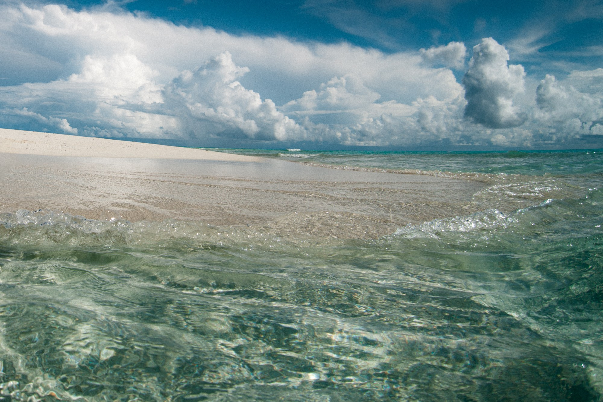 Индивидуальное обучение фотографии. Фотограф Андрей Друк