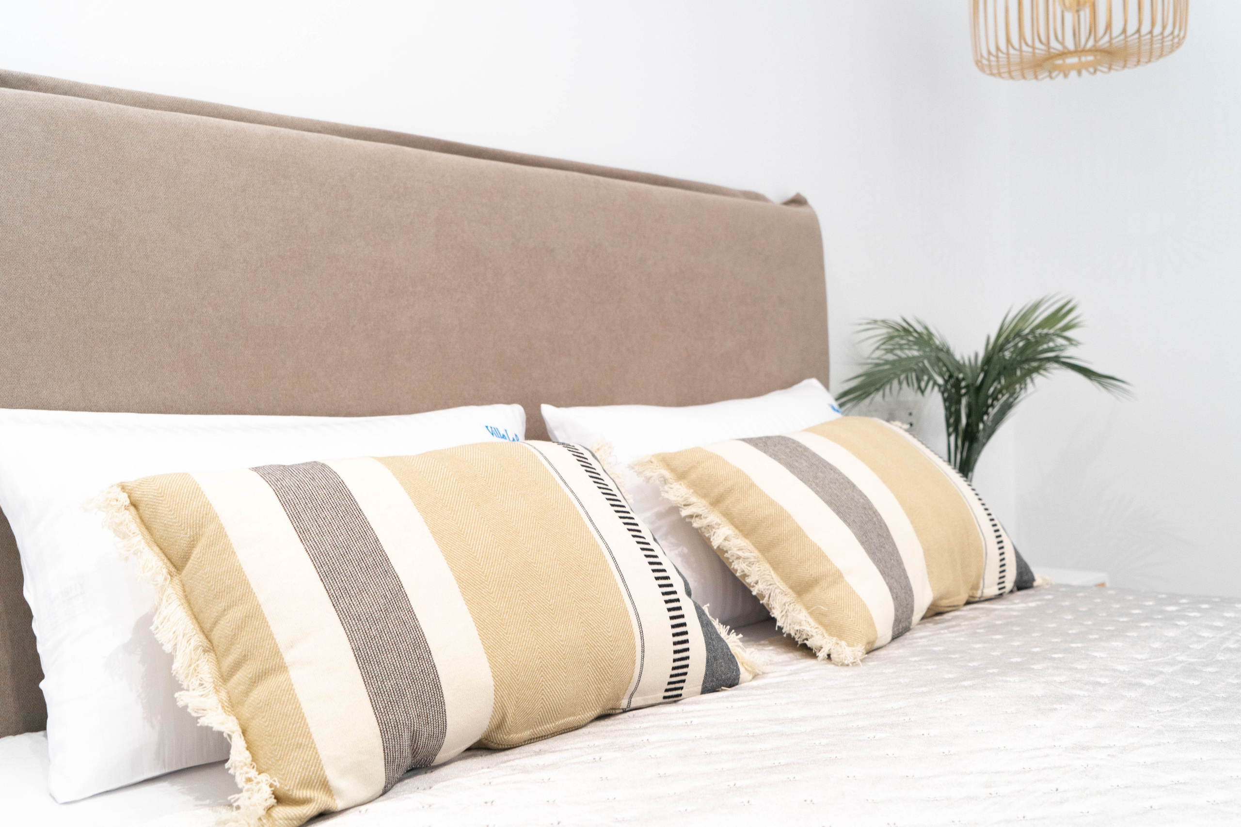 I&M GROUP villa La Paz. Baby Beast