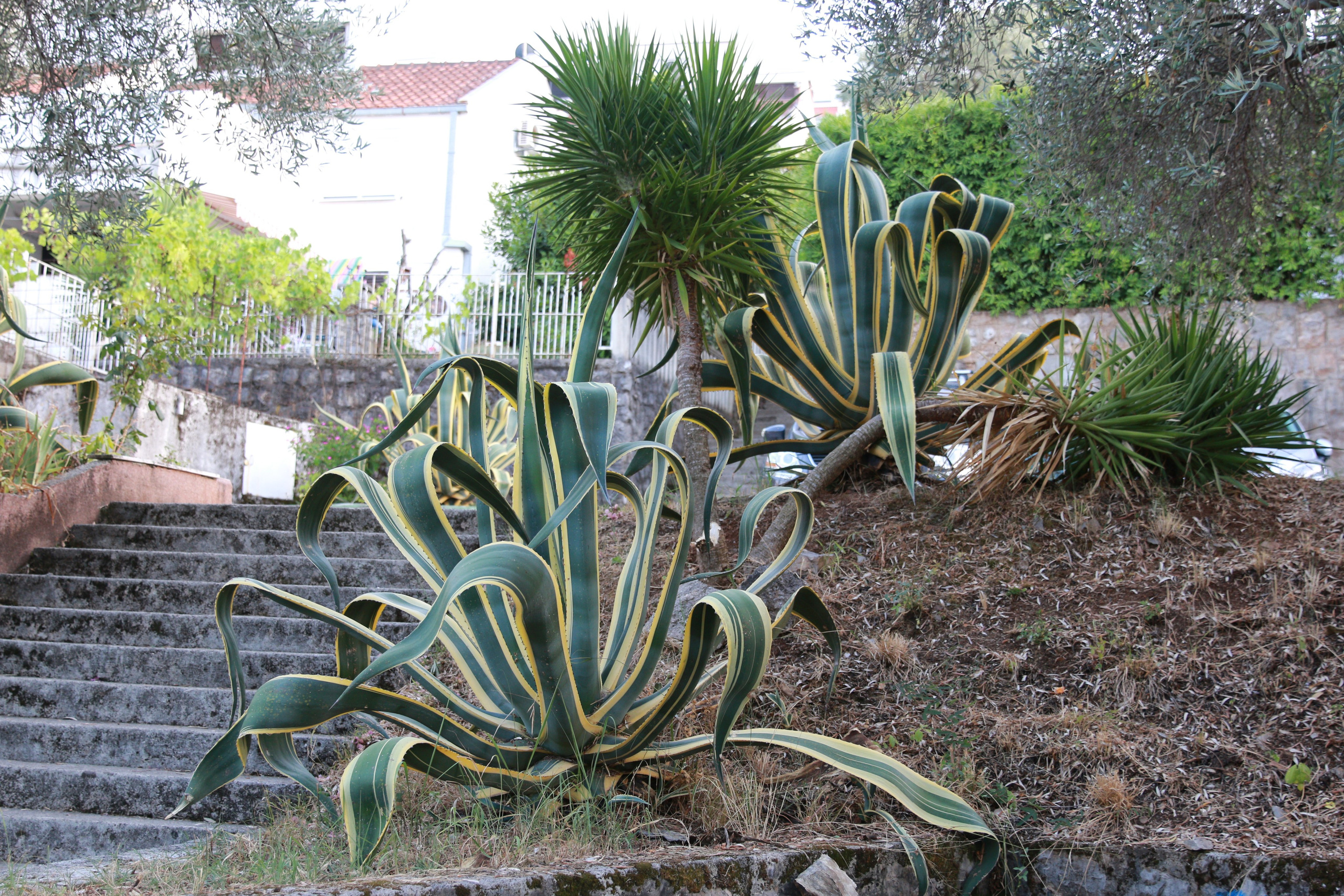 Наш поселок Крашичи. Apartmen 365