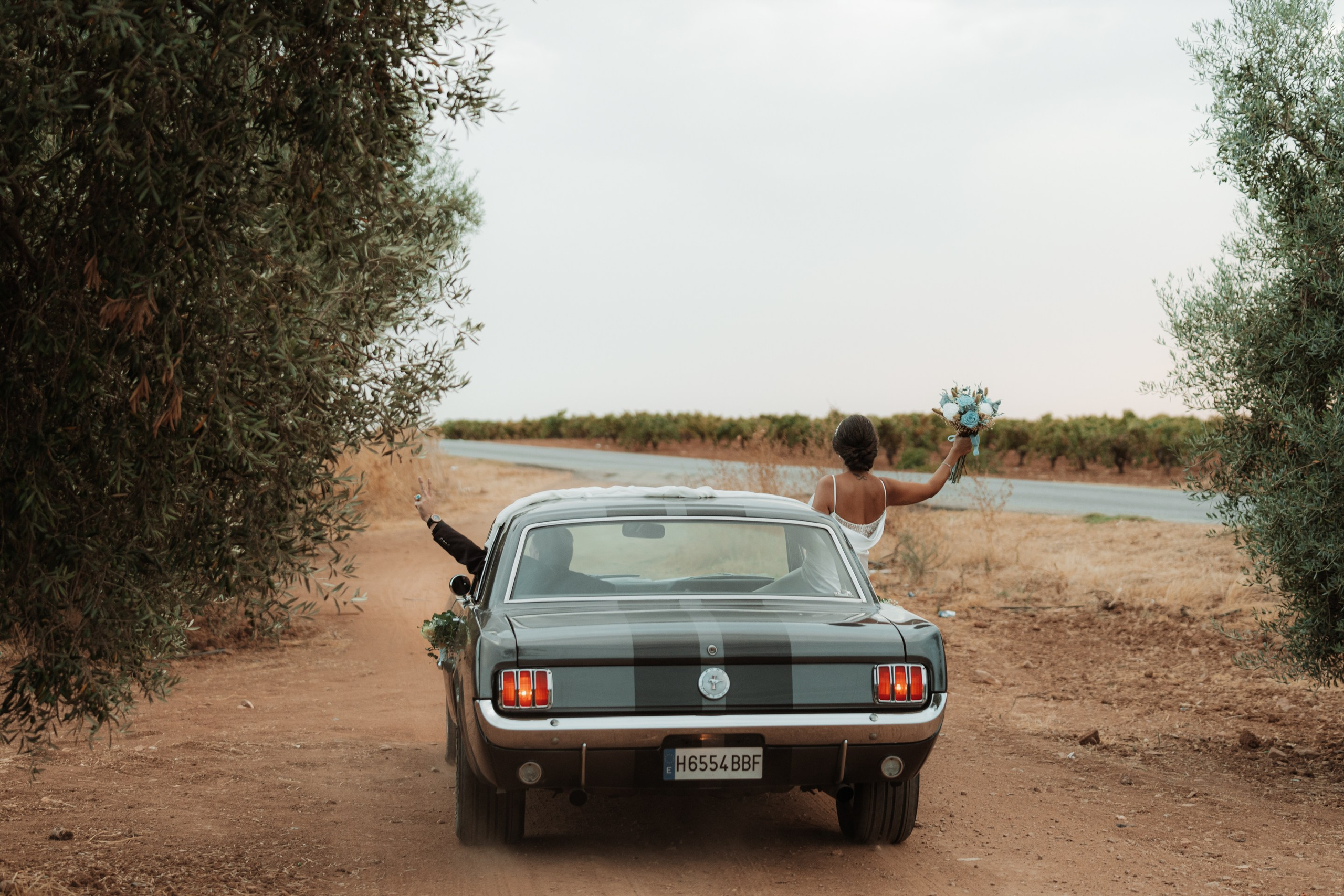 Aitor & Tania. Alianza Weddings - Fotografías y vídeo de bodas