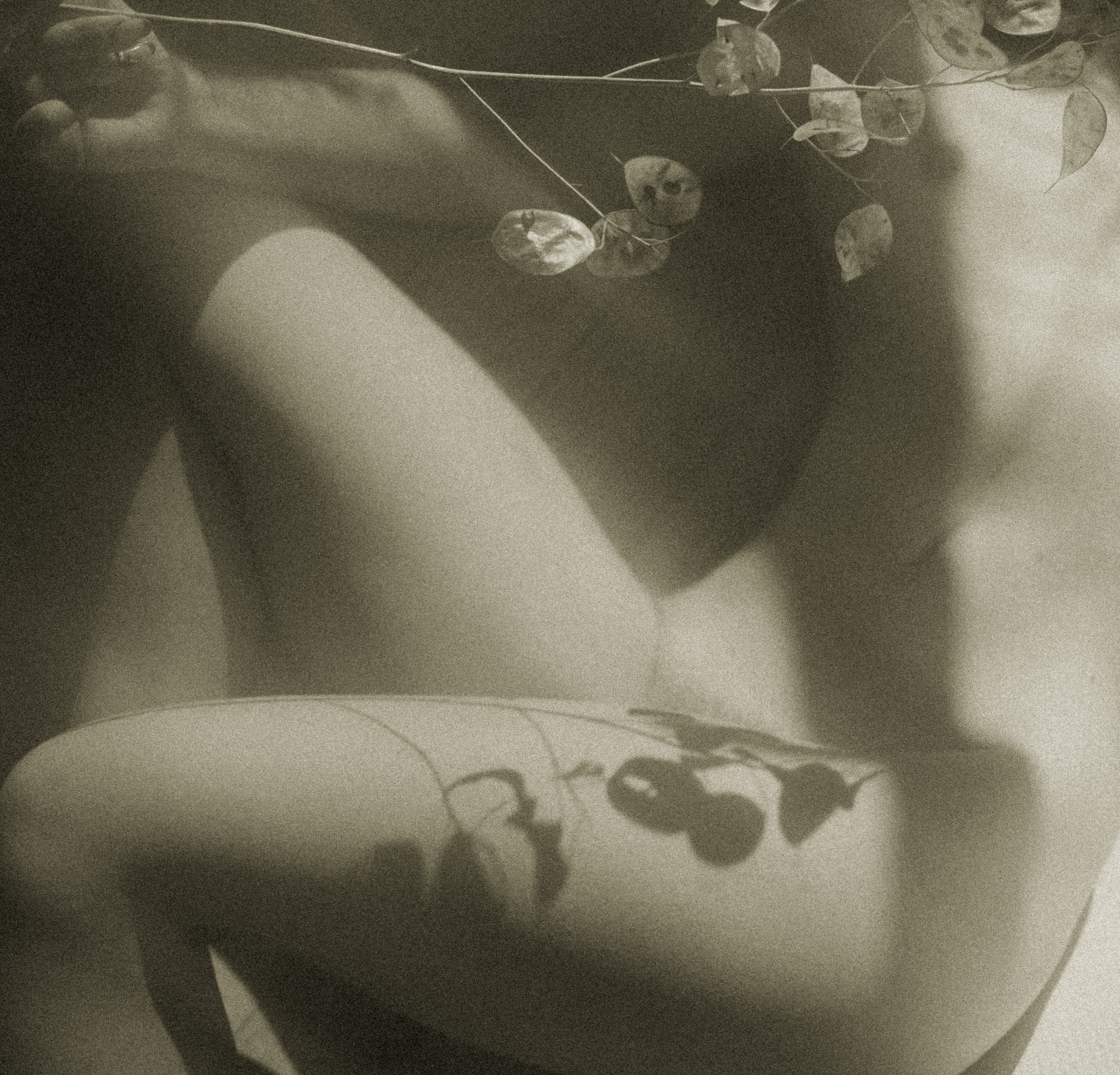 Histoires d’amour, séances photos de famille et de mariage en France