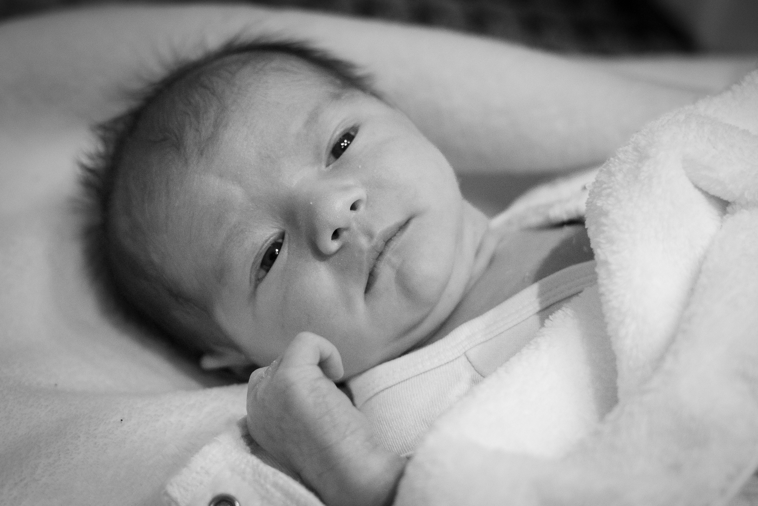 Families. Wedding and event photographer in guelph ontario canada Jessica Giovanni