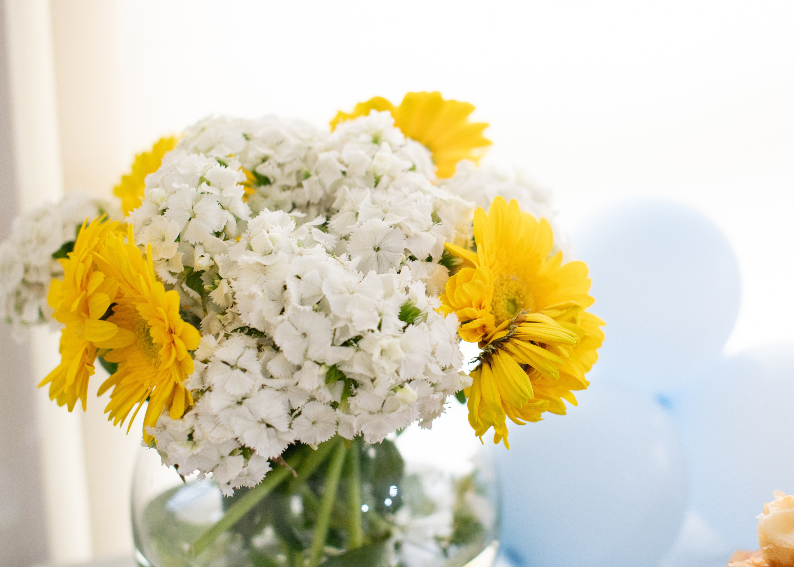 Children, family and event photographer Mirjana Zdravkovic