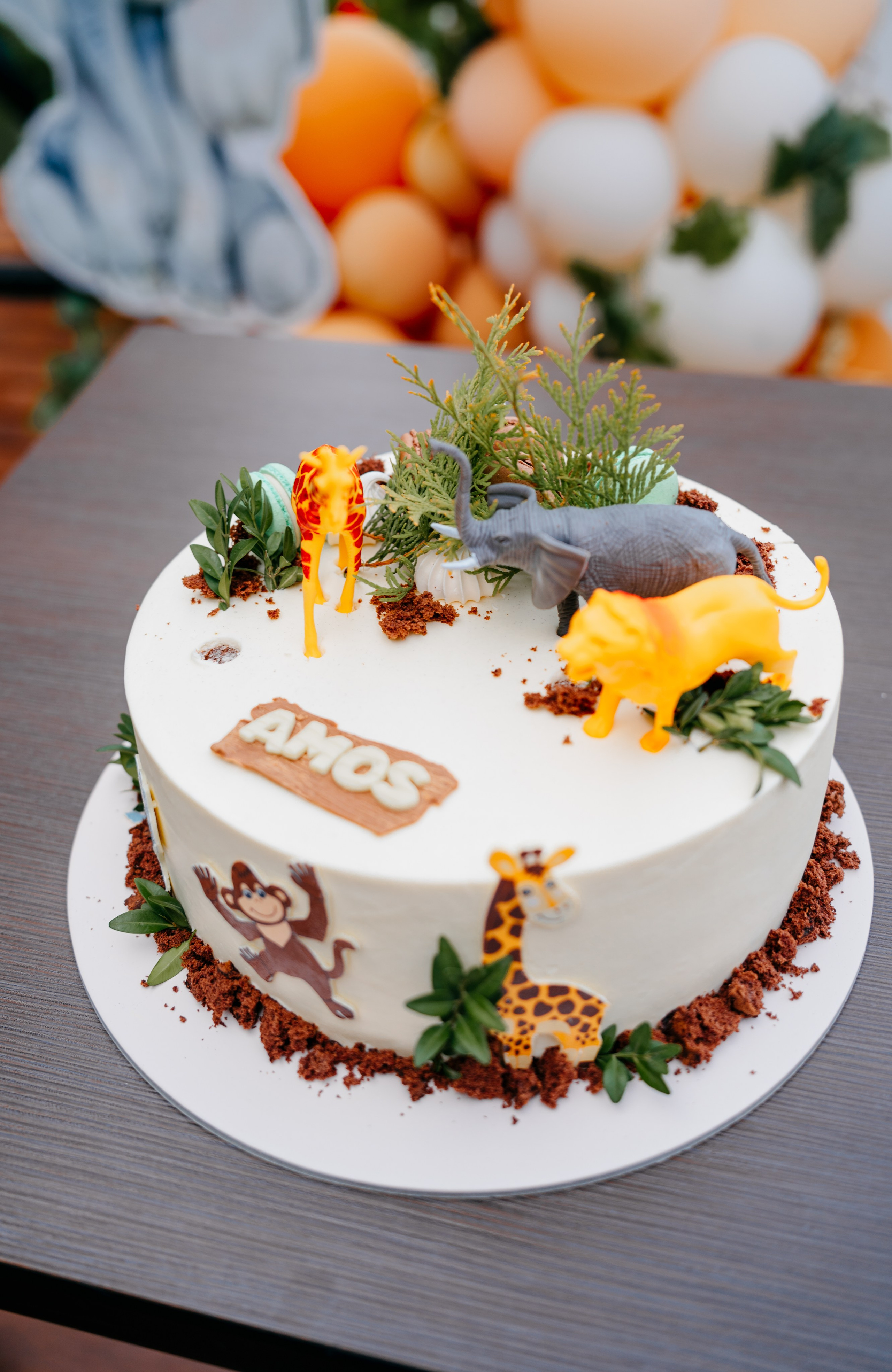 Amos' s 1st Birthday. Fotograf Nunta Iasi - Hearts & Pictures