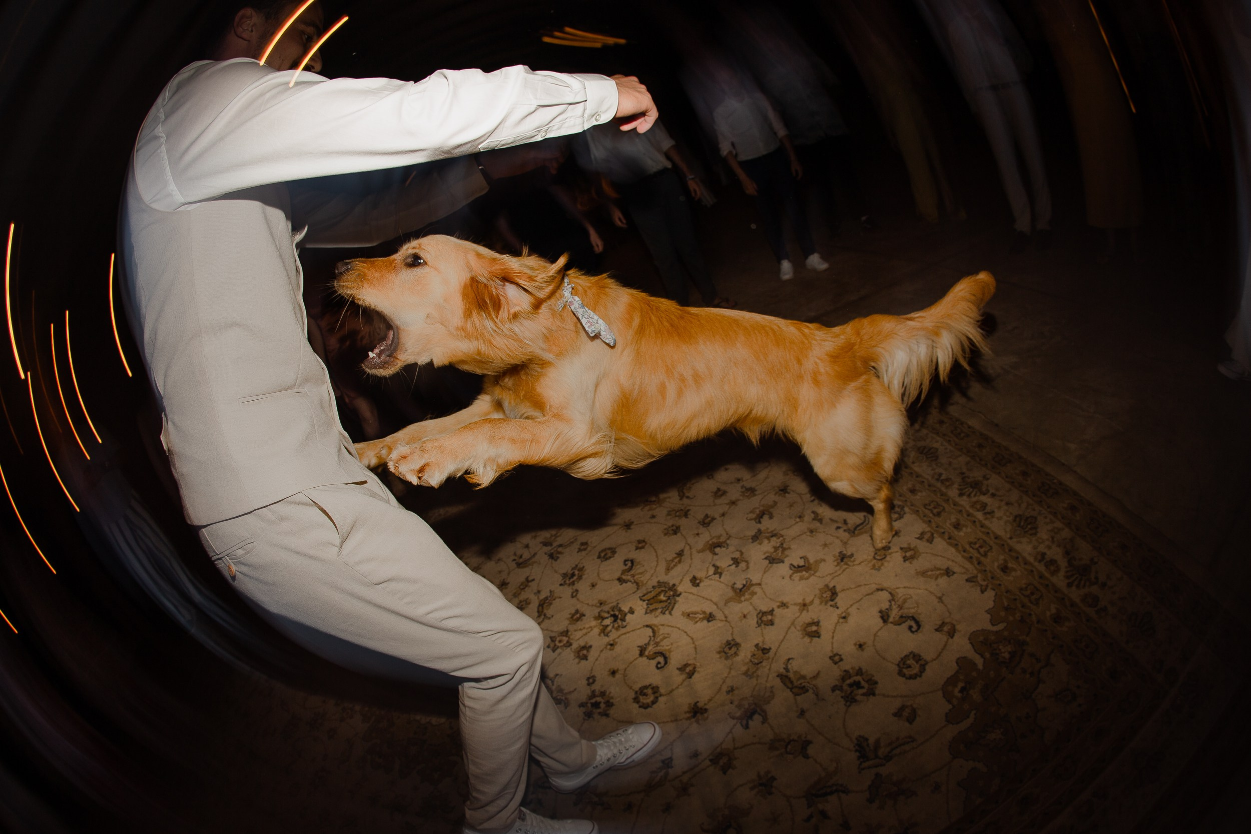 Casamento Alana e Malo / Sombra do Jatobá, Barretos — SP. Gustavofto