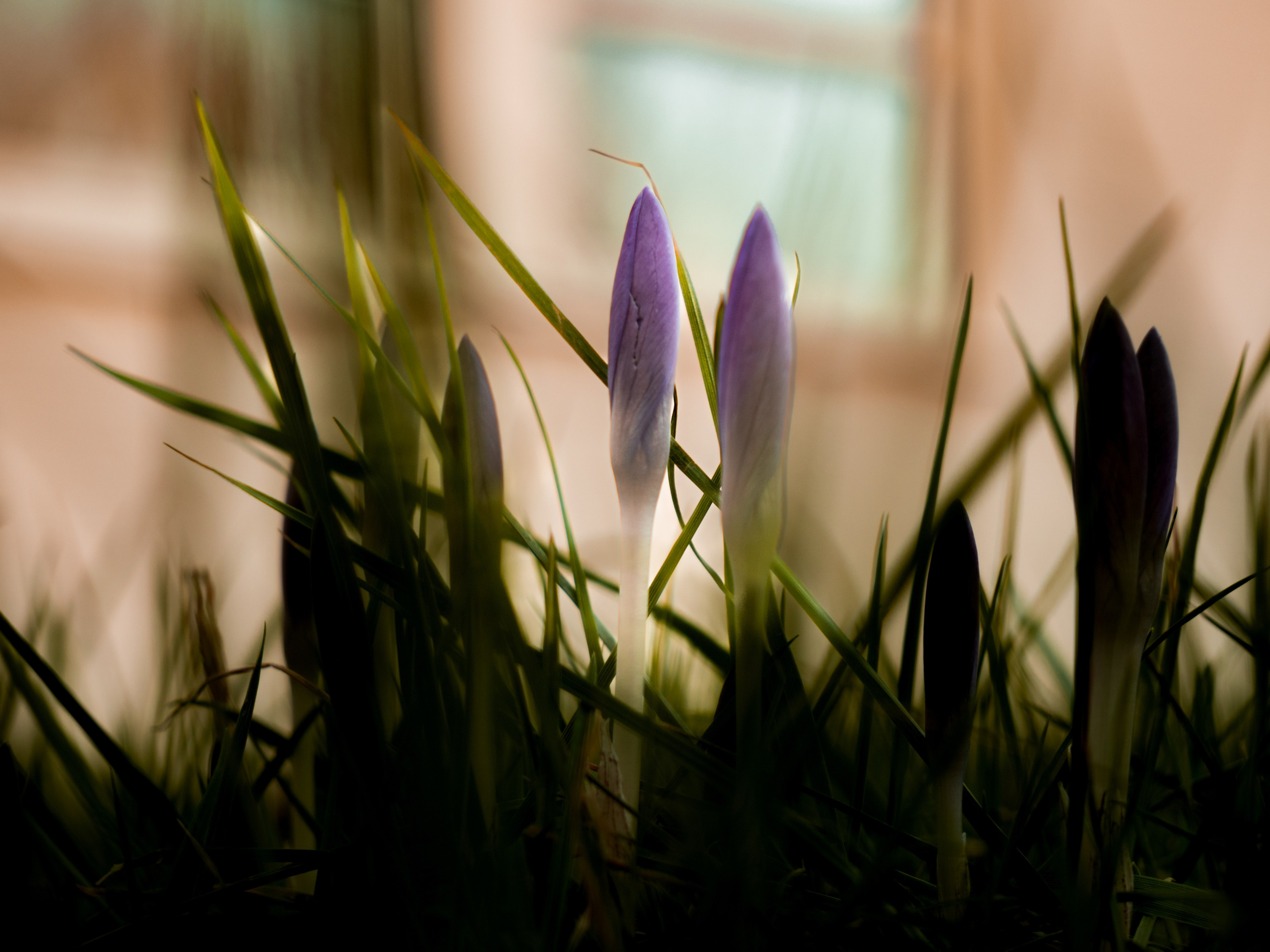 Portfolio. Photographer in Sotenäs municipality. Fotograf i Sotenäs kommun