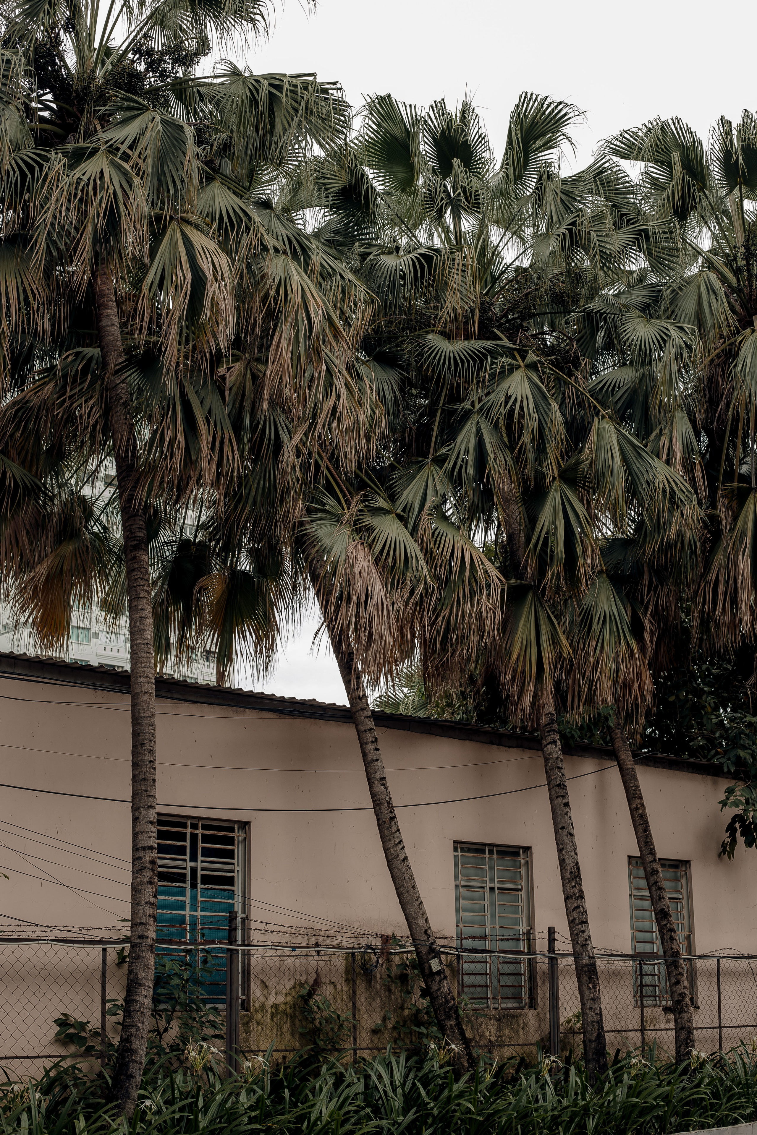 Ho Chi Minh, Vietnam | Part 1| 2025. HOME