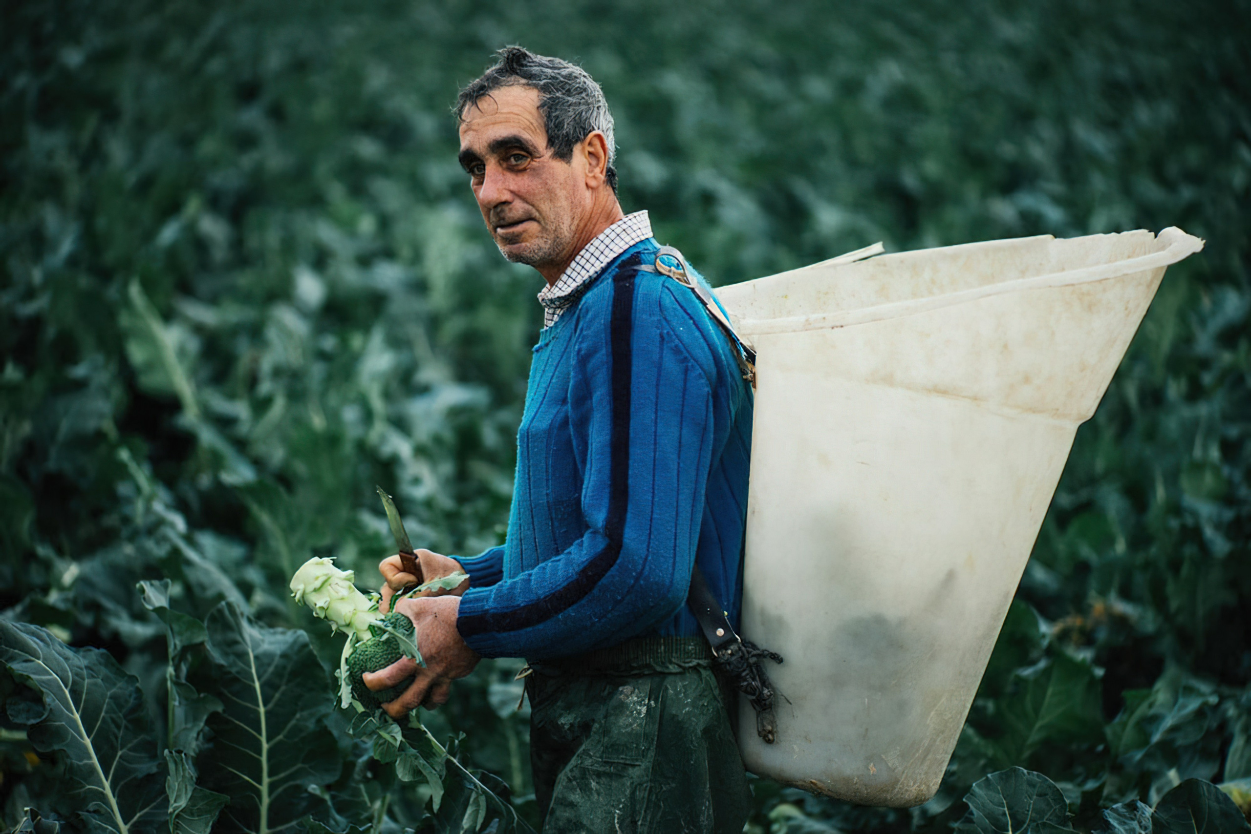 Artjom Kutuzov Photography