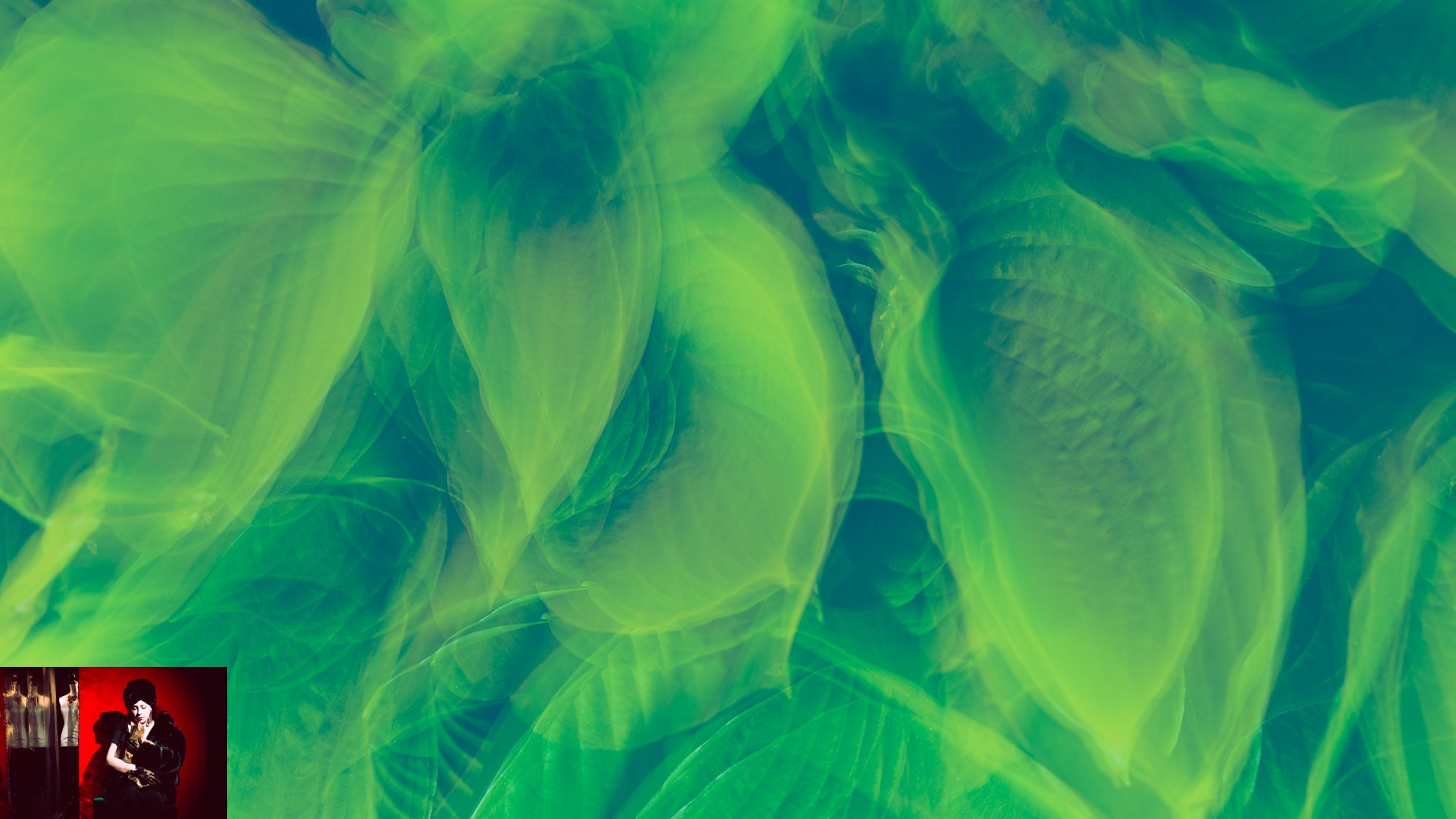 Portraits of Park Residents. Ekaterina Tsurkina-Appina Photography Canada