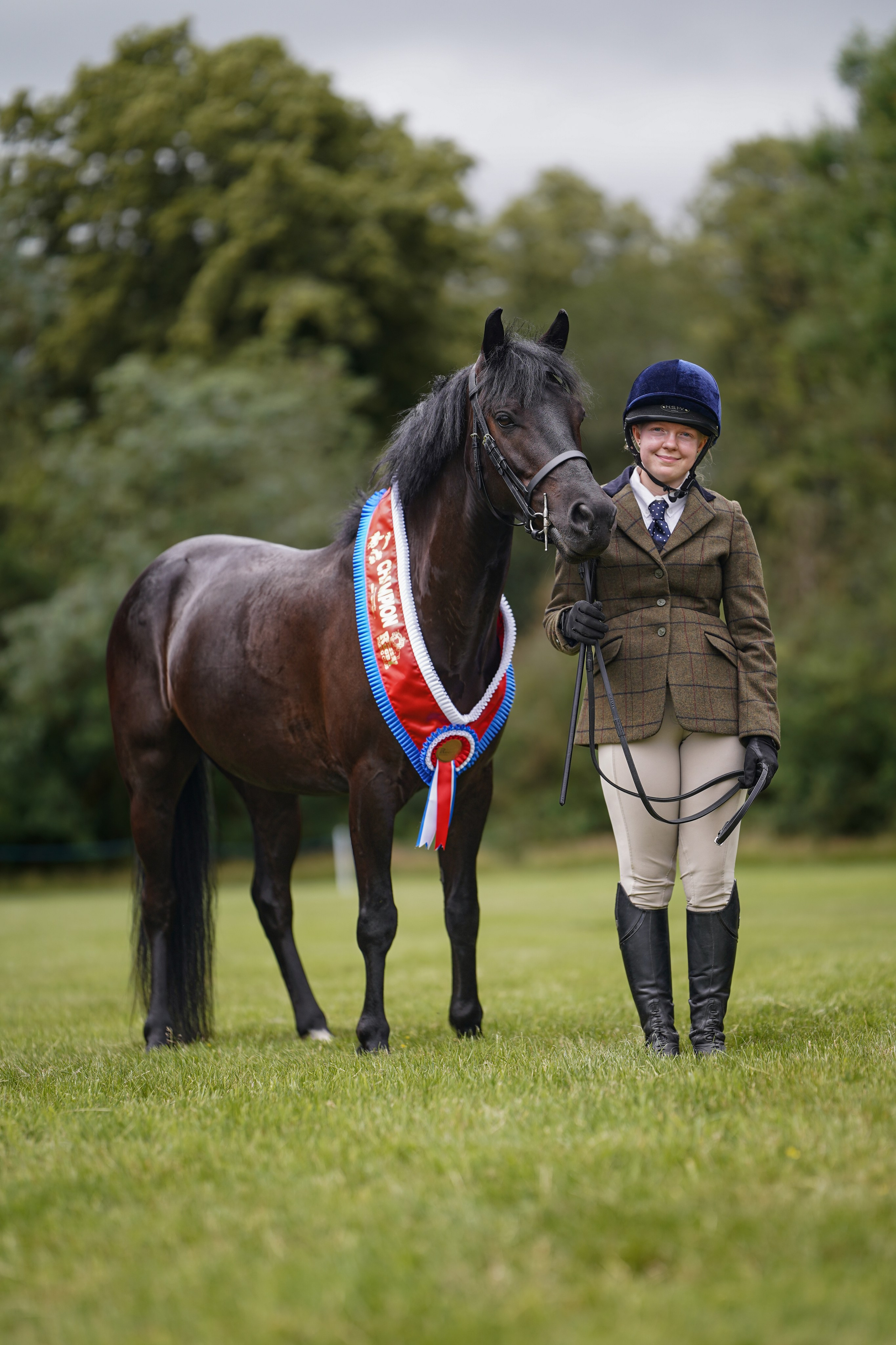 Showing. Leicestershire Equine Photography by El | Authentic Equine Portraits & Events