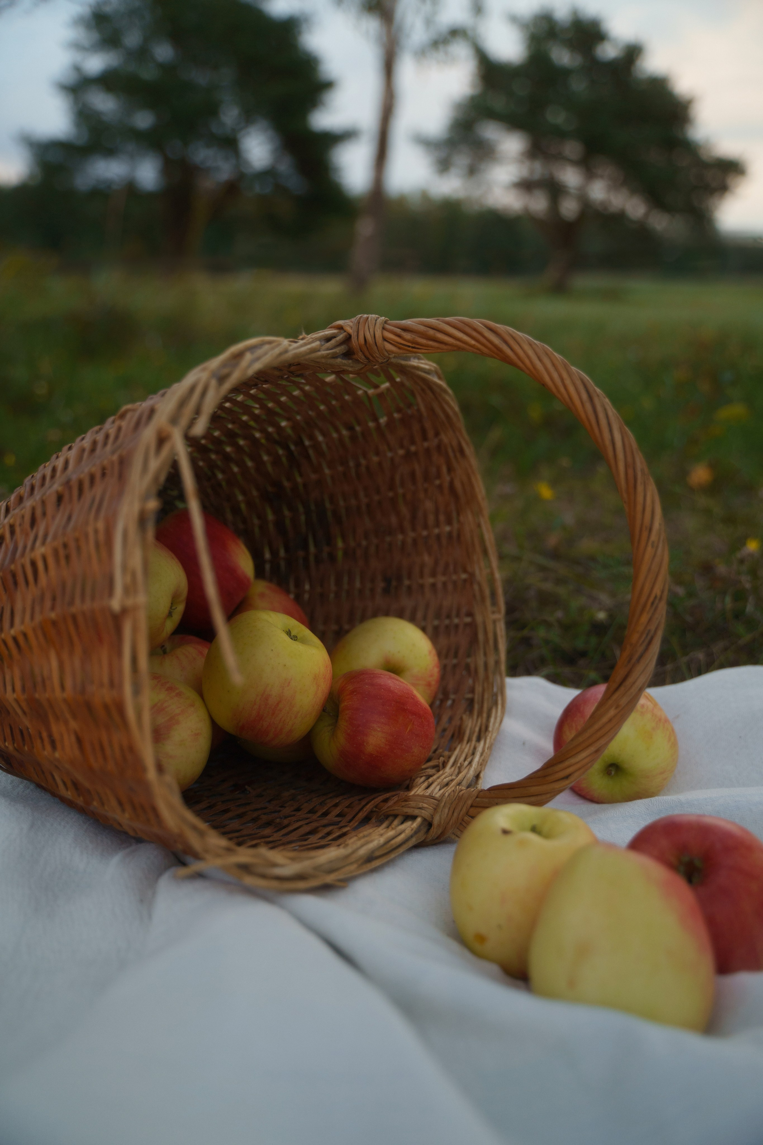 Storm, linen and milk