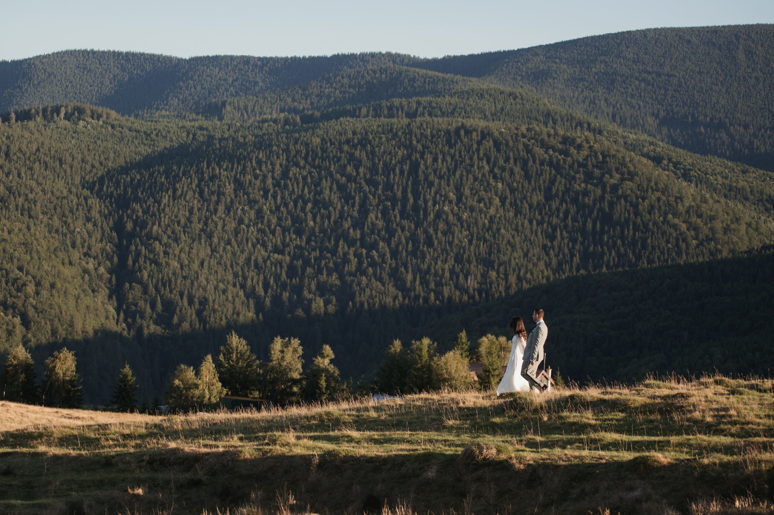 Trash the Dress A&M