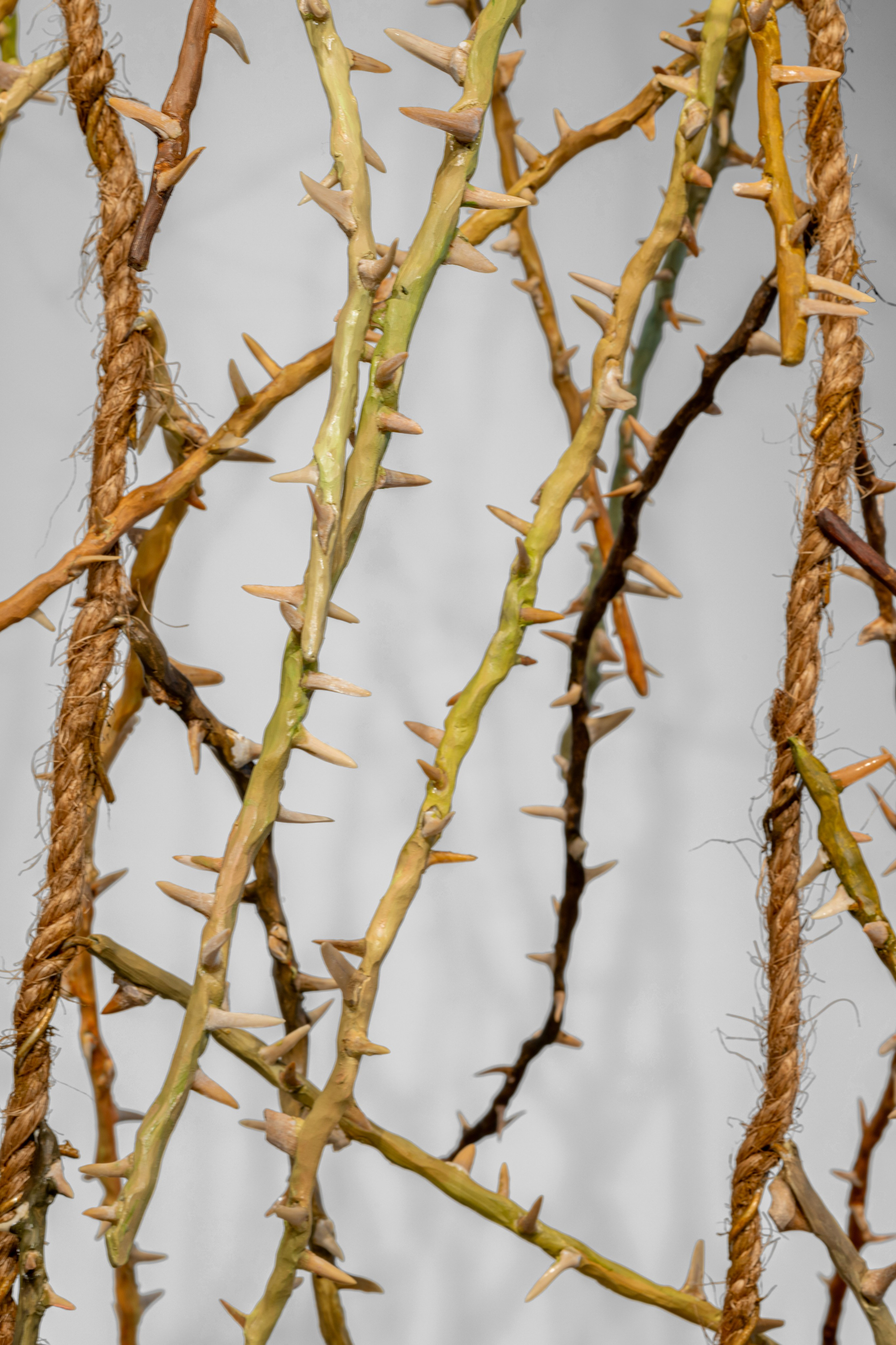 Nika Project Space “Beghost”