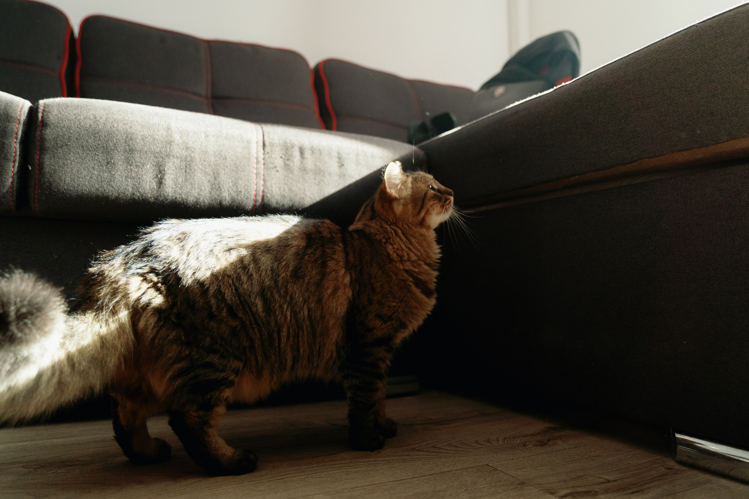 Andreea & Emanuel. STORYCATCHERS