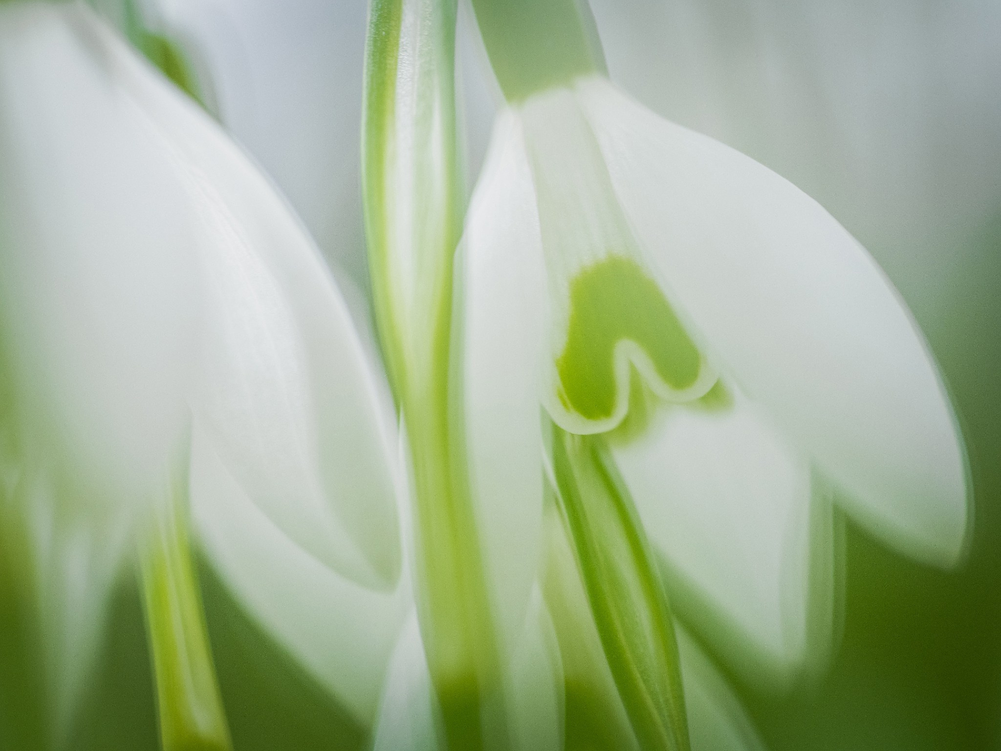 Intimate Landscapes. Nature Photographer and Videographer from Germany