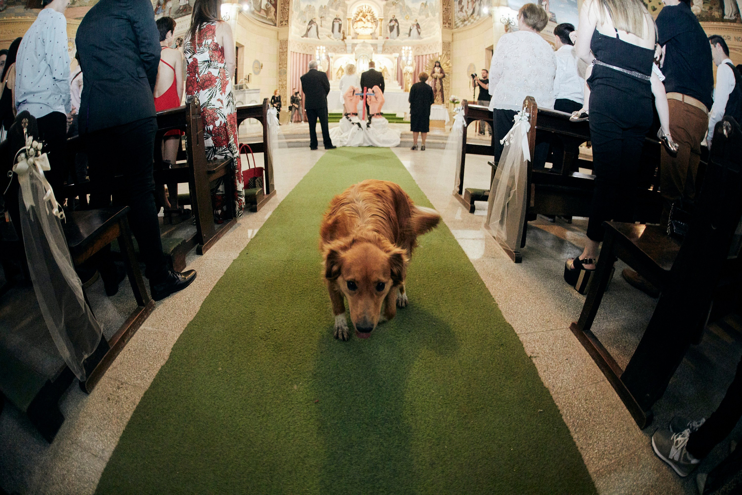 MAGA & PATO. Marcos Ferrari Fotógrafo