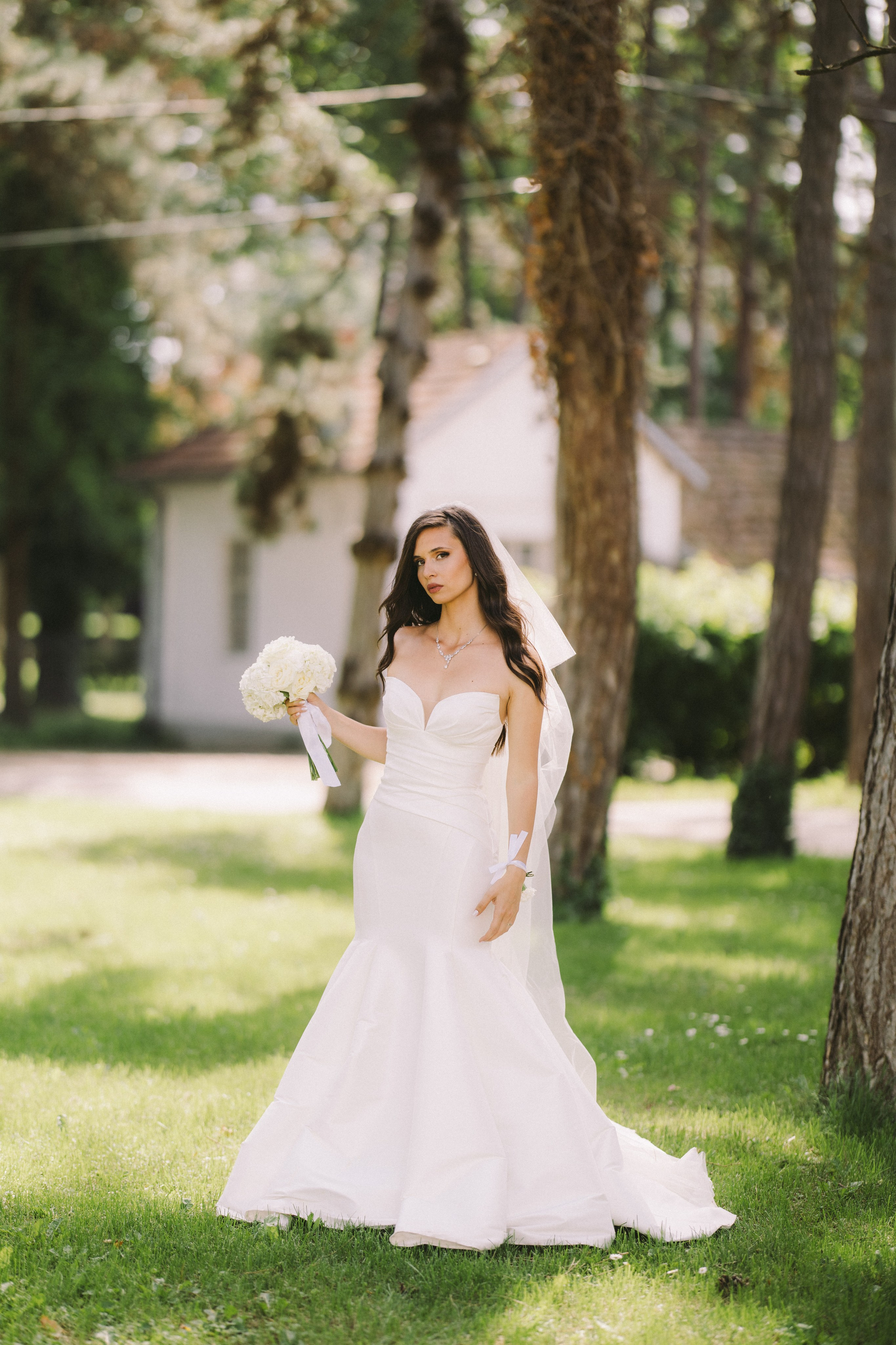 Photography. Alexandar weddings: Home