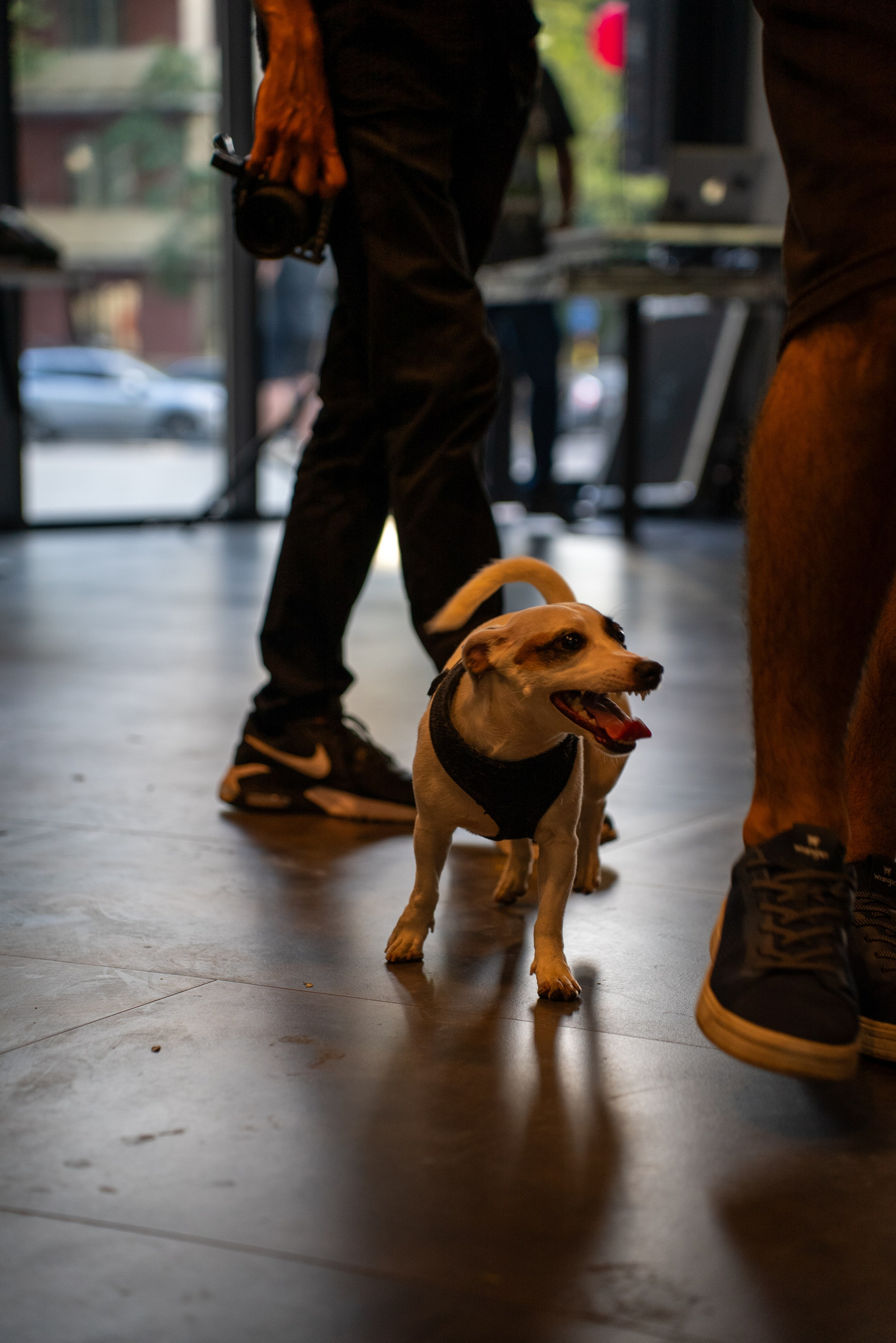 Открытие ресторана