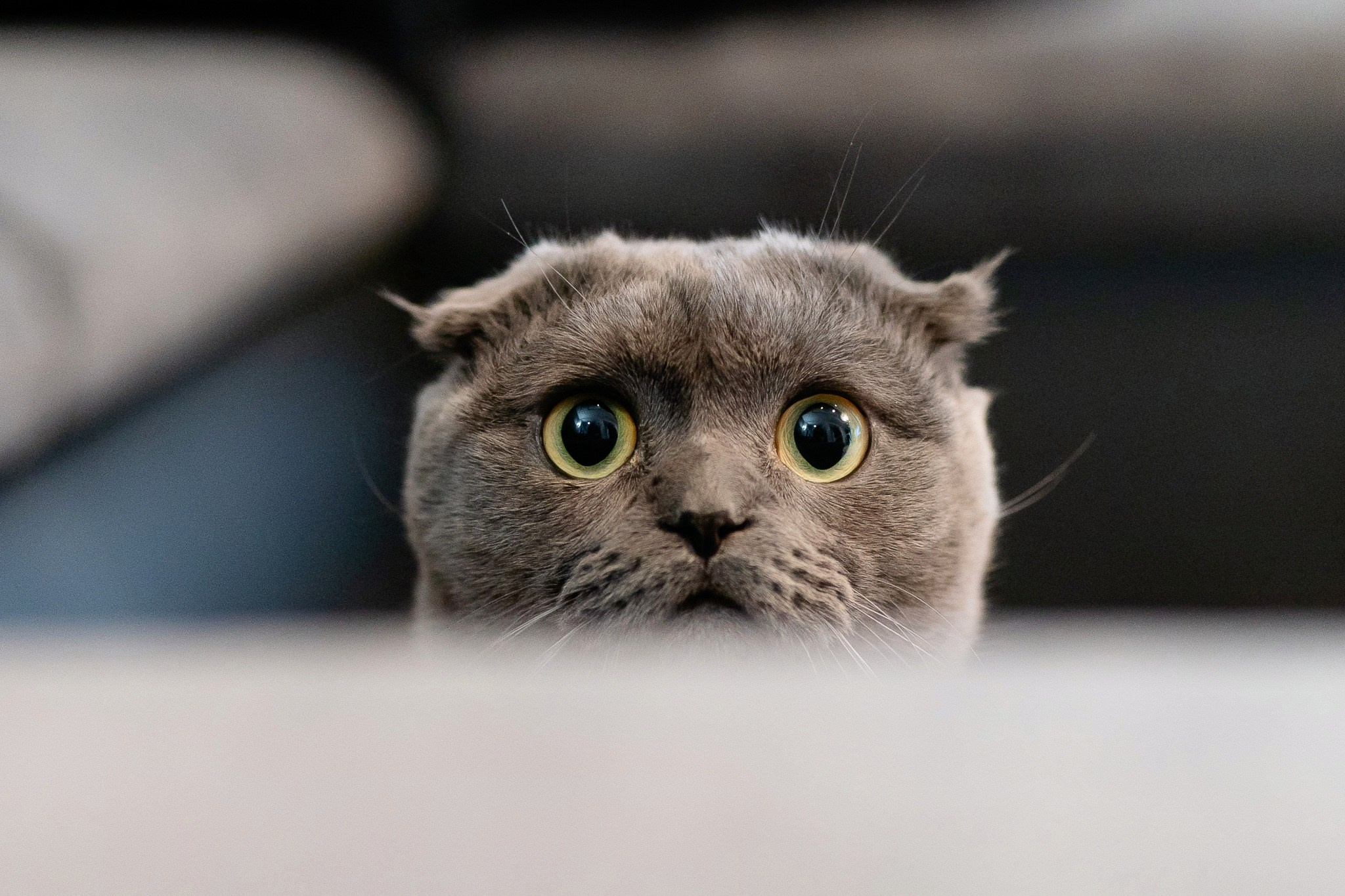 Botezul micutului Ianis